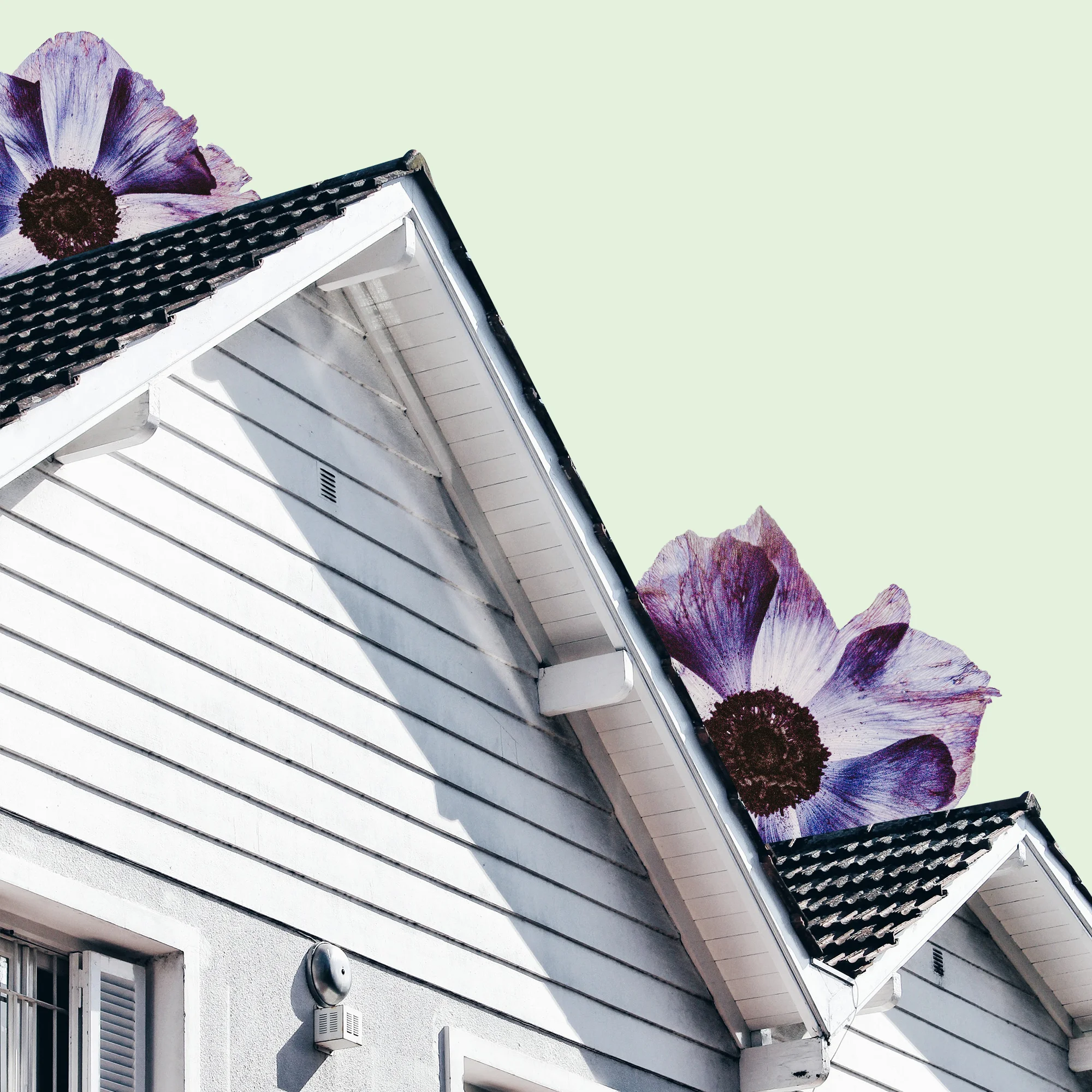 instyle_graphic_bfhouse.jpg