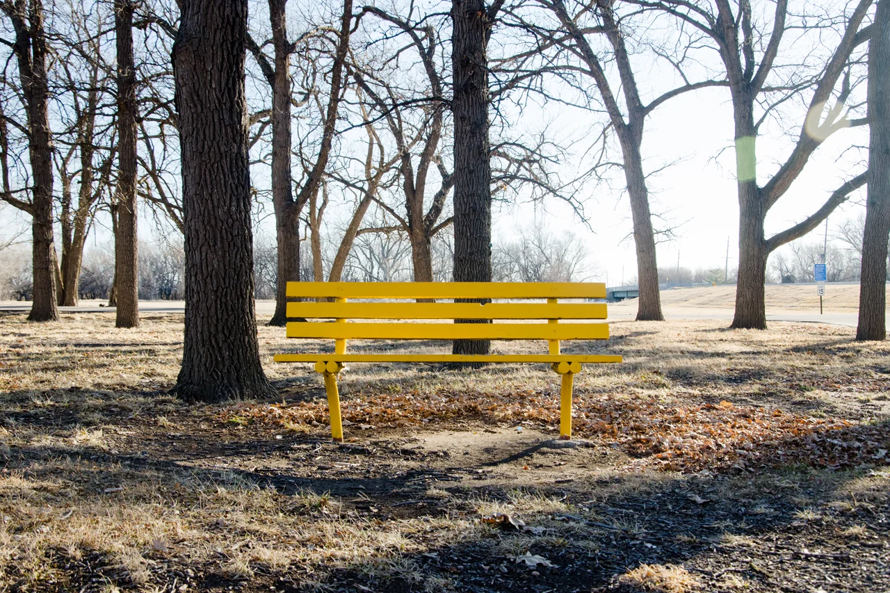Yellow Bench