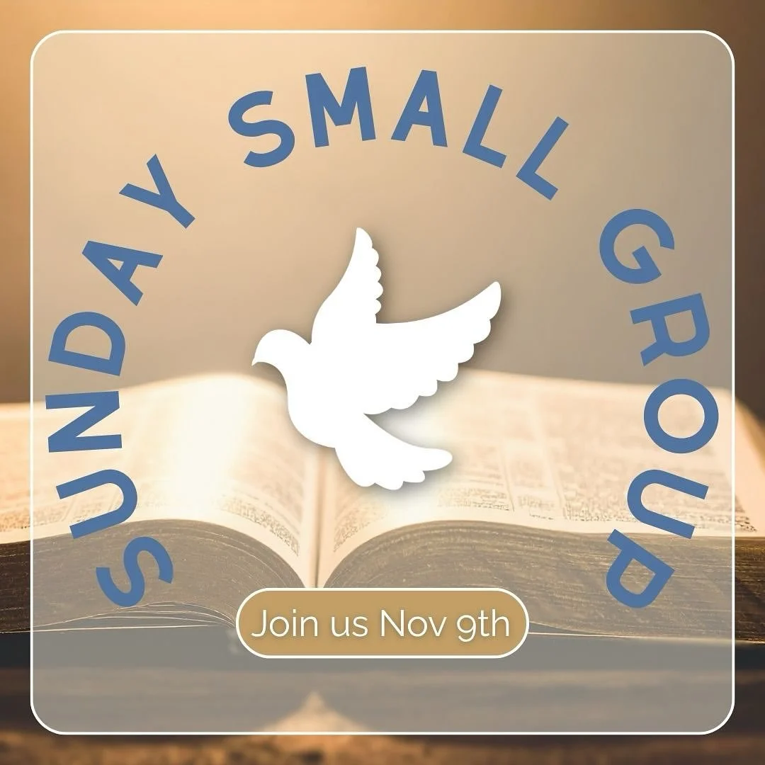 This Sunday after the 11AM Mass in the St Joseph Conference Room 🕊️ See you there!