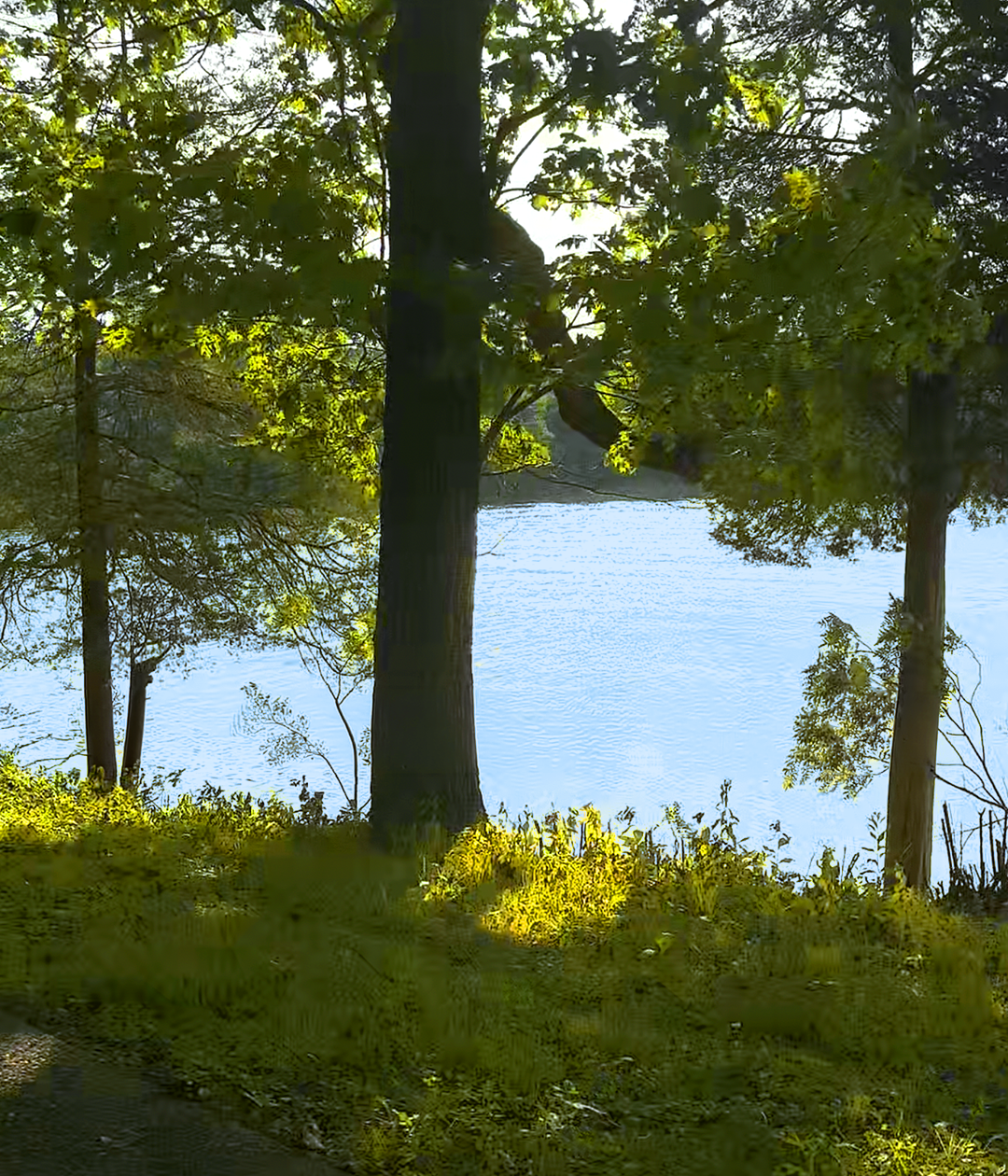 lake-2.png