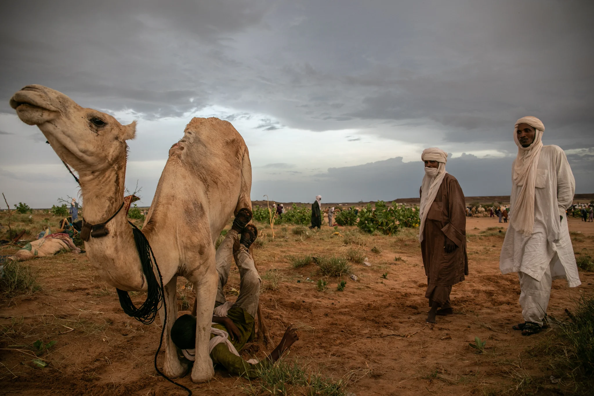 CureSalé_Niger_2018_33.jpg