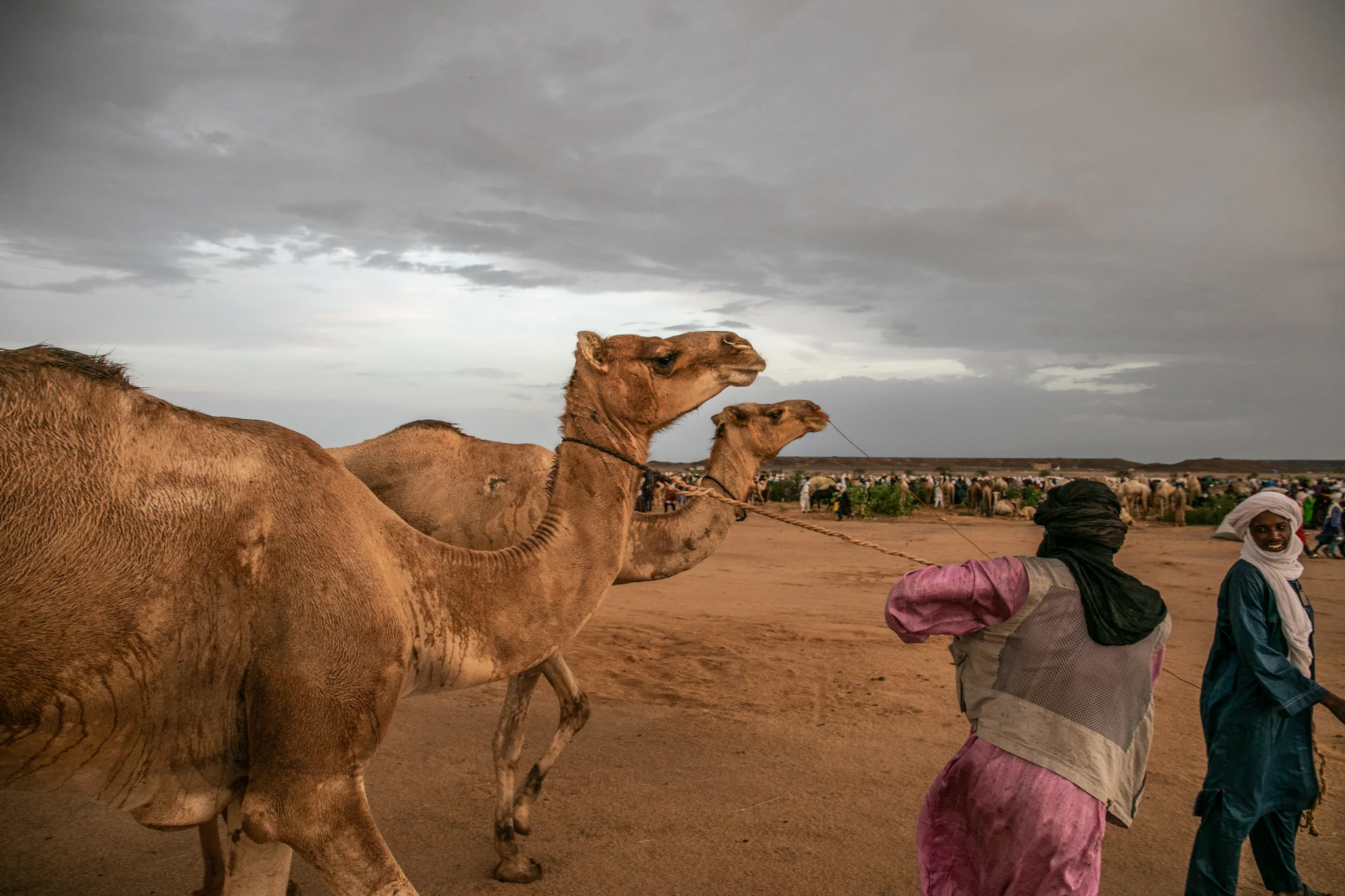 CureSalé_Niger_2018_30.jpg