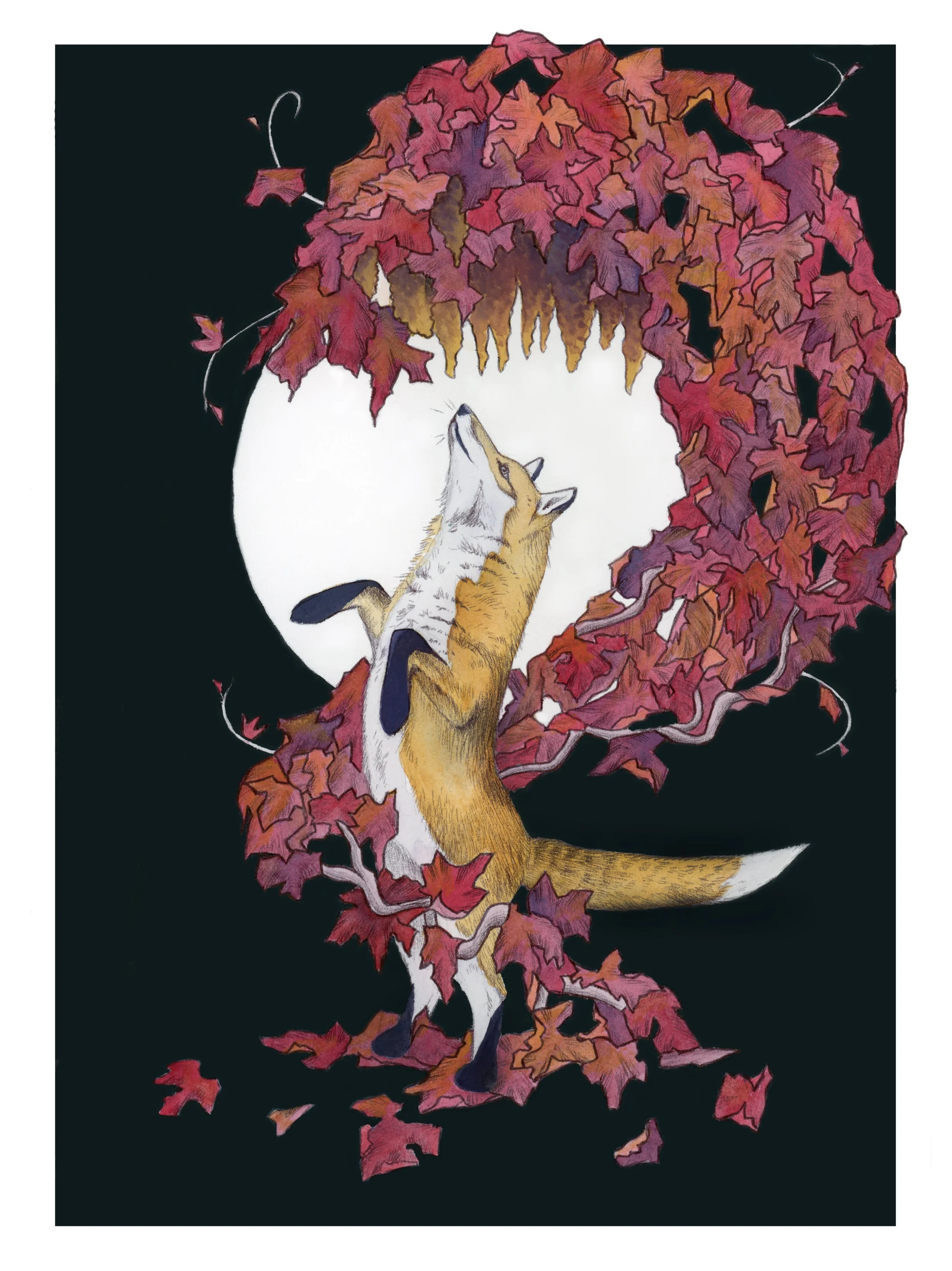 Aesop's Fables- The Fox and The Grapes