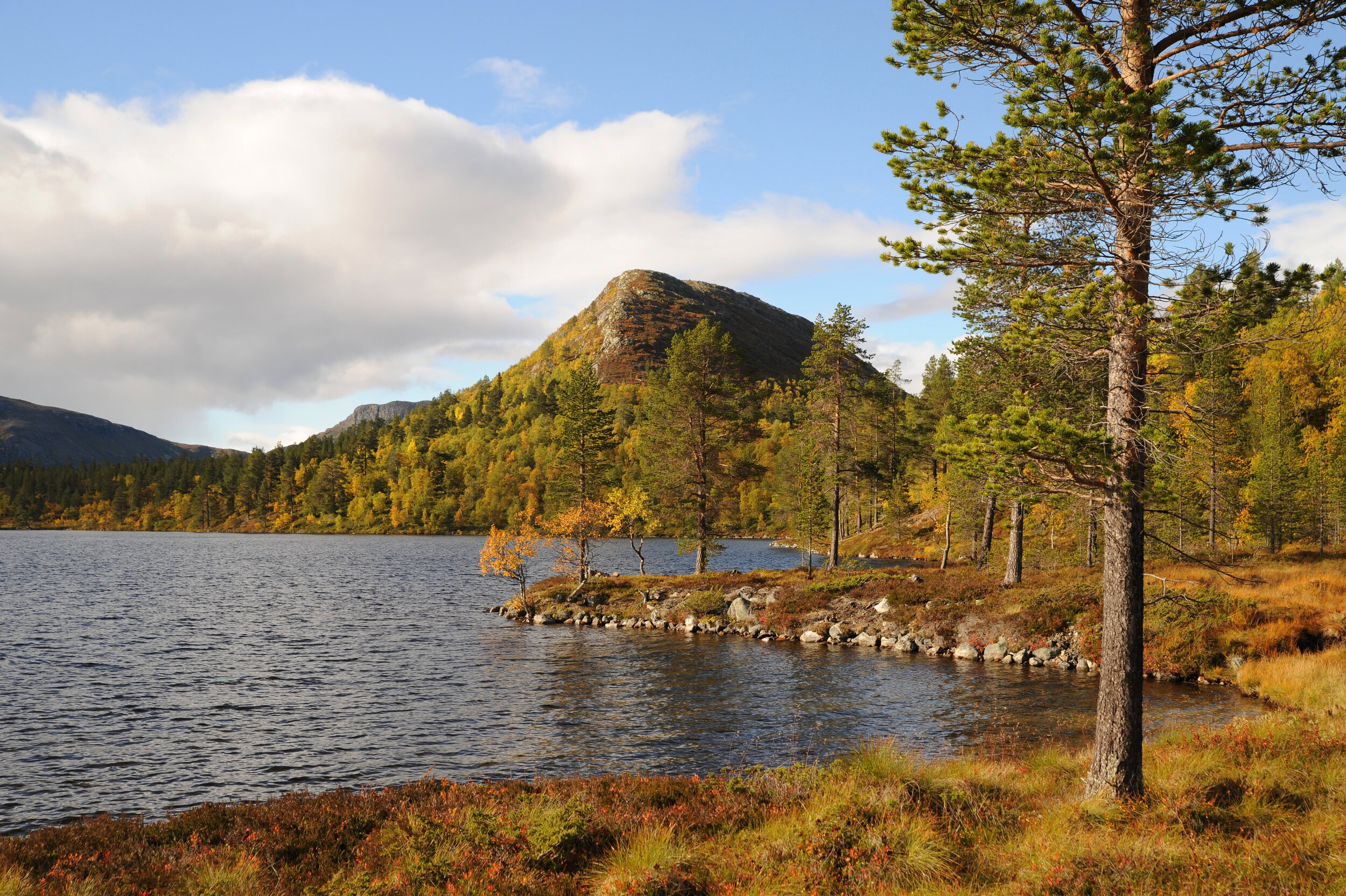 Mountainous Fjellgutusjøan