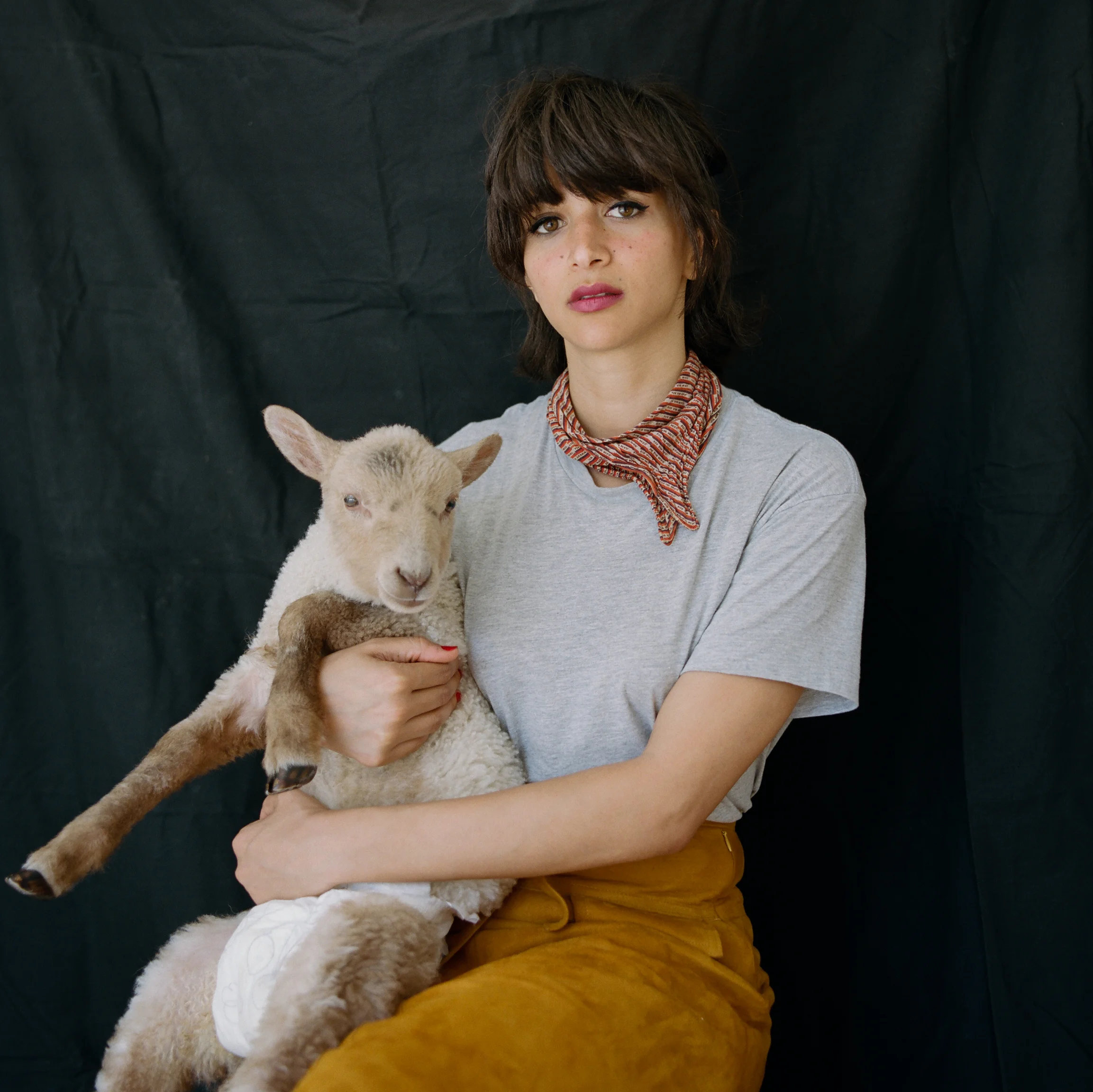 Laila Gohar
