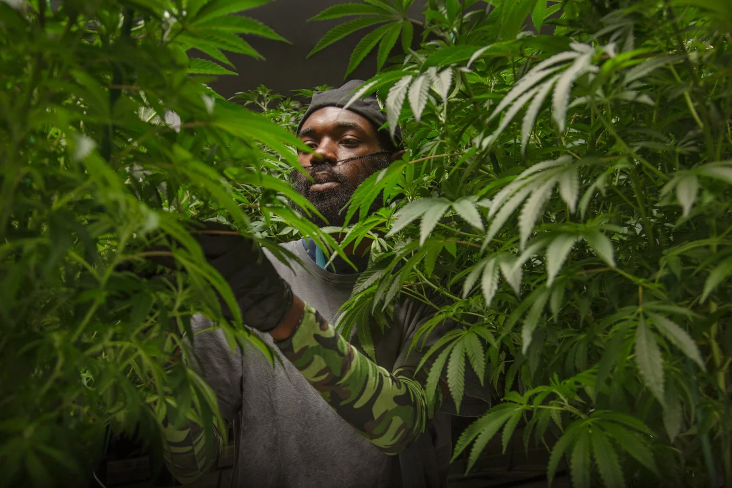 SS_Grassroots_Cultivation-1095-Edit.jpg