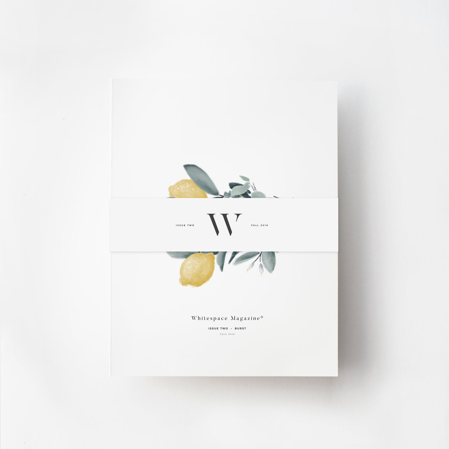 Whitespace Mag 1.jpg