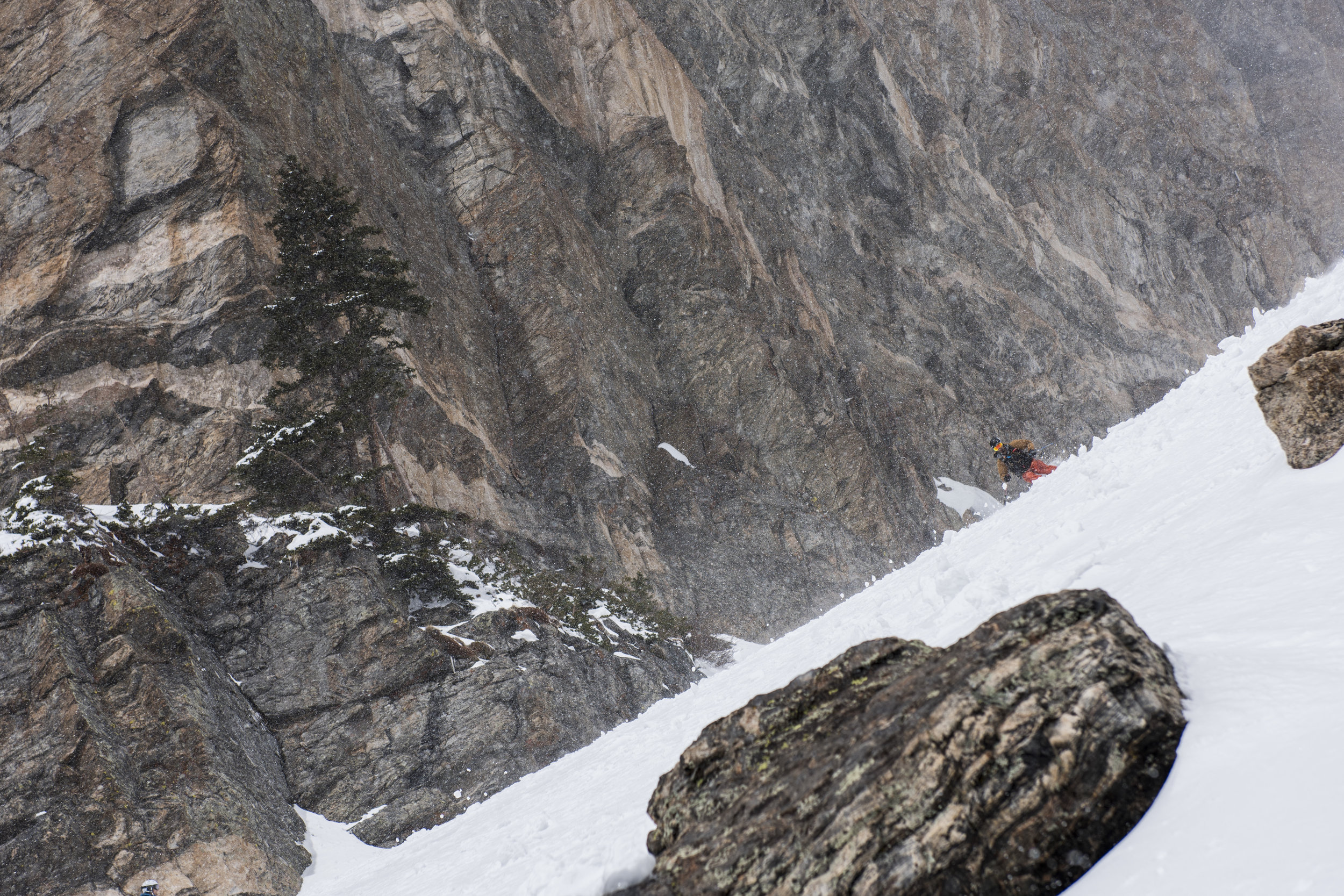 Dragons Tails585.JPG