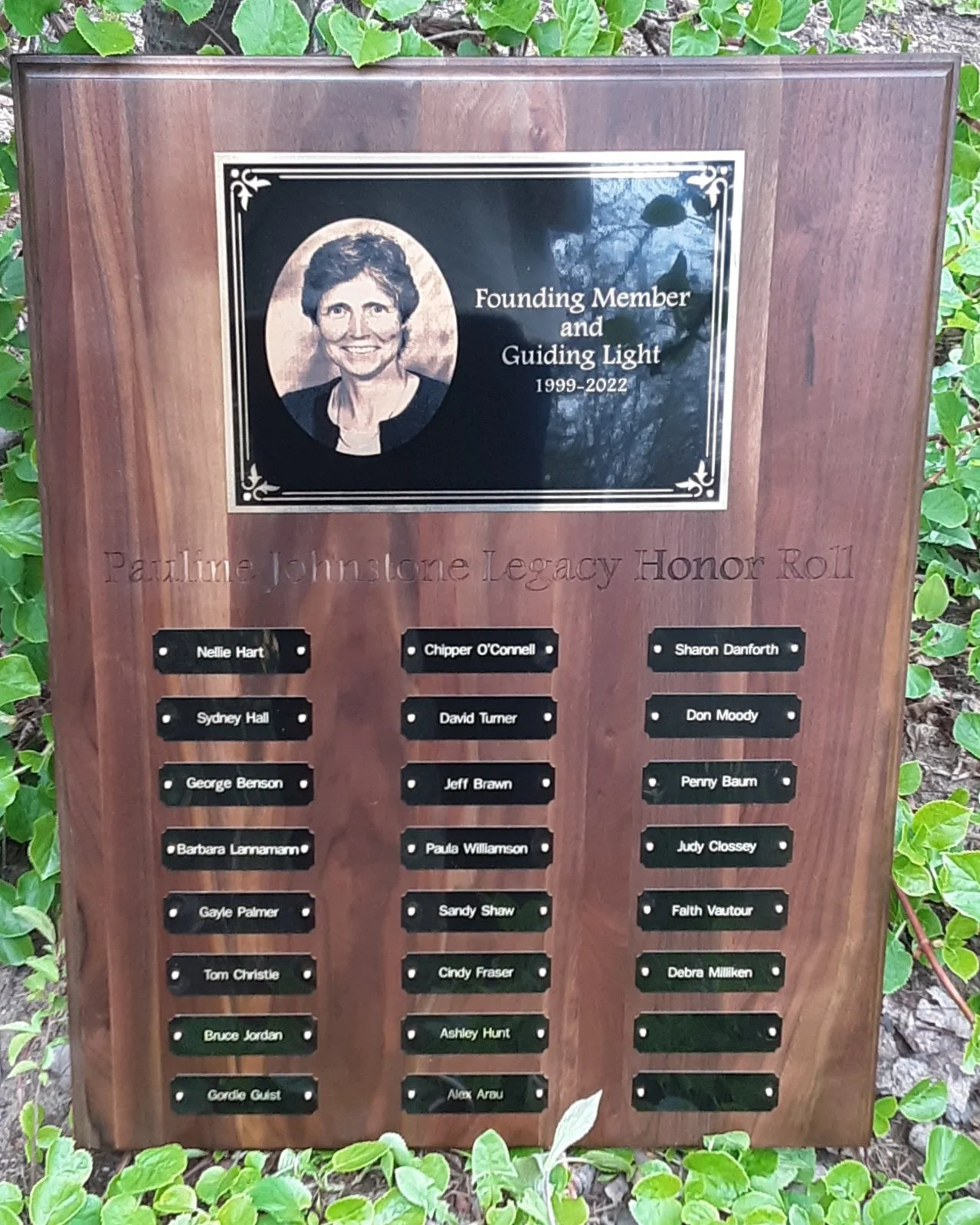 Special Volunteer Event