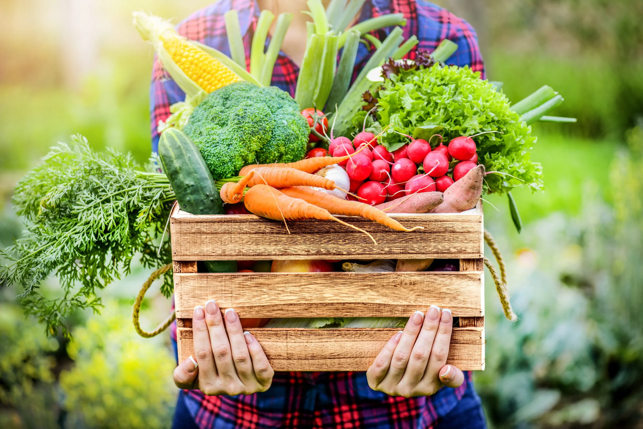 September Food Request