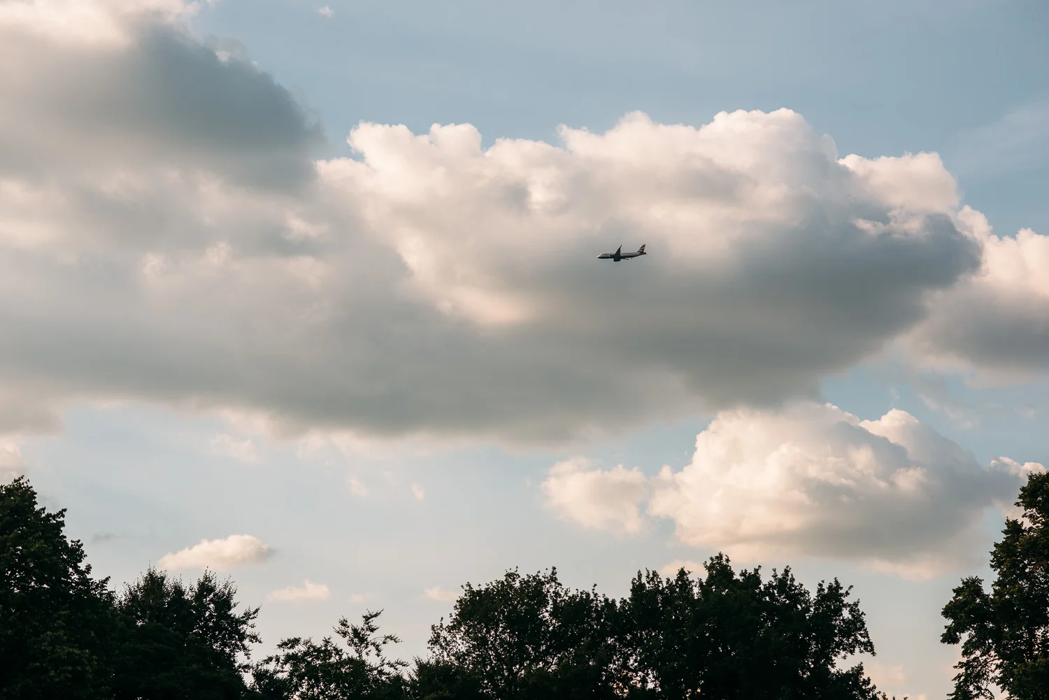 summery-richmond-park-engagement-shoot-90.jpg