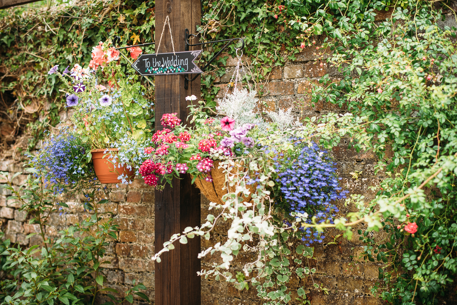 back-garden-wedding-3.jpg