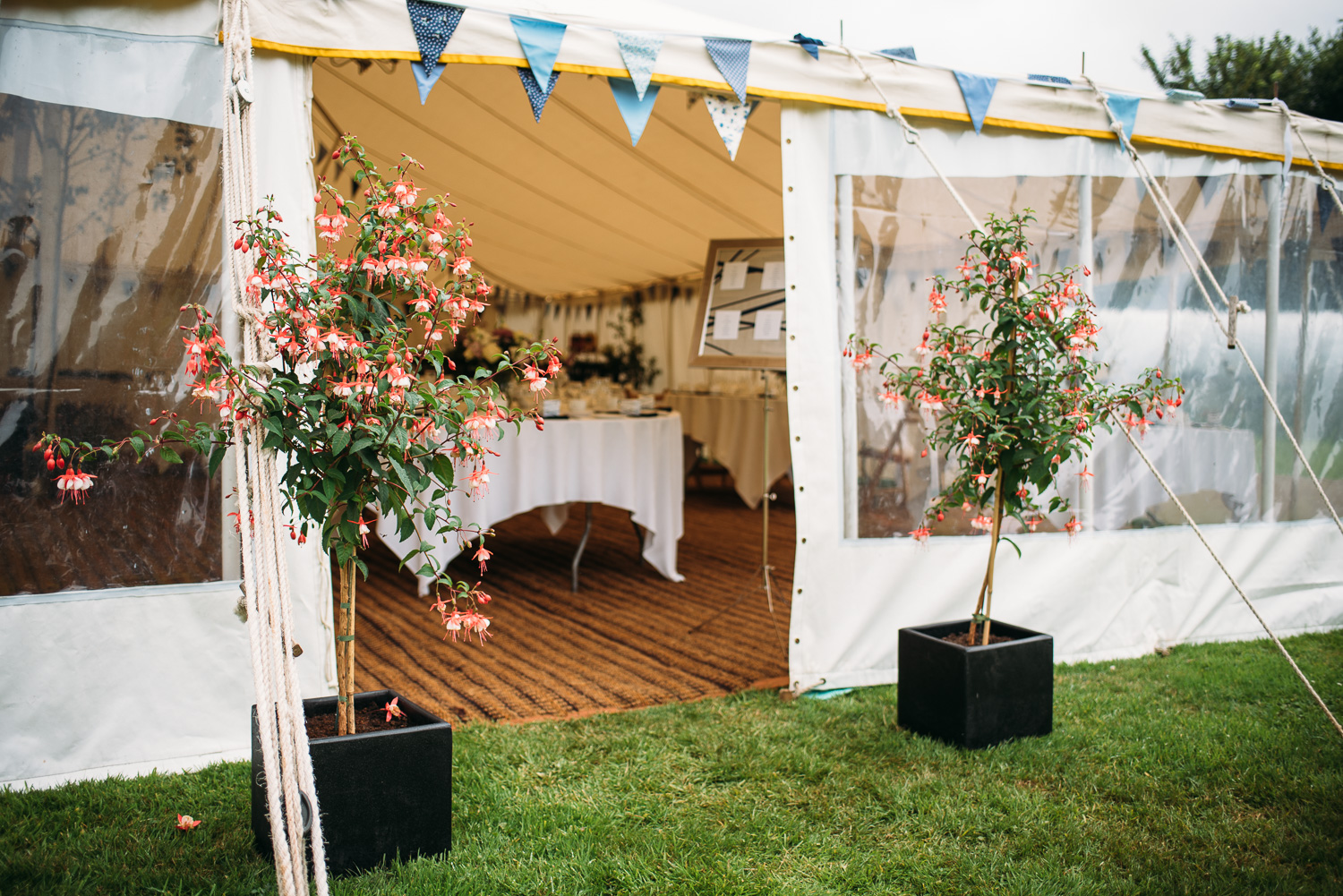 back-garden-wedding-8.jpg