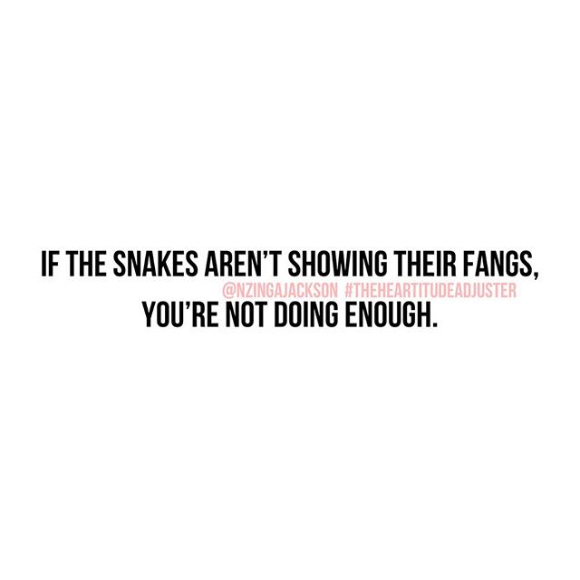 Did you know the venom of a snake is stored in sacs behind their eyes?
•
That means that they don’t bite until they feel threatened, they don’t feel threatened until you make a move, and when you make a move that they can literally see with their eyes, immediately venom begins to drip to the fangs in preparation for a bite!
•
If you don’t have a snake slithering, hissing, loathing, and leaking negativity out of their mouths against you, being green-eyed with envy and jealousy for you and what you do or have, then you’re not doing enough and whatever you’re doing, you’re not doing it right.
•
A snake that’s ready to bite is an indicator that you’ve hit the mark and you’re on the right track, but if there are no snakes or no hiss or drips, then you’re not doing enough!
•
No more playing it safe!
If you’re going to risk being bitten, it better be for intentional, swift, and power moves ONLY!
•
•
•
•
•
#TheHeartitudeAdjuster #TheInnerMe #TheInnerMeIsTheEnemy #WindsOfChange #energyiseverything #NoBrainDrains #purposedriven #legacybuilder #WordsToLiveBy #WomensEmpowerment #KnowYourWorth #SelfLove #SelfAwareness #OnlyTheStrong #wordsofwisdom #ahamoment #jerseygirl #motivationalspeaker #NewJerseyWomensEmpowermentSpeaker #heartstrong #mindstrong #emotionalquotes #negativityquotes #guardyourheart #watchyourthoughts #emotionalquotes #faithvsfear #NewJerseyMotivationalSpeaker #NewJerseyInspirationalSpeaker #MotivationalSpeakersInNJ #SpeakersInNJ