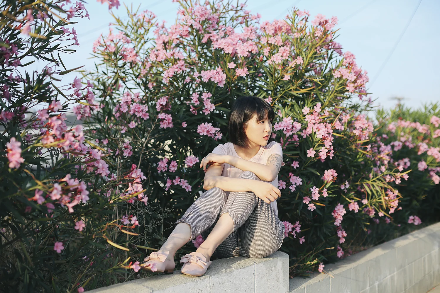 VE2B4821.jpg