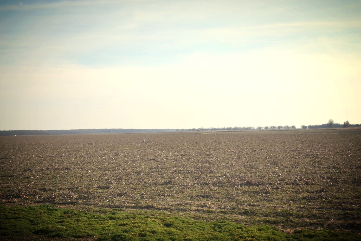DSC_0119.jpg