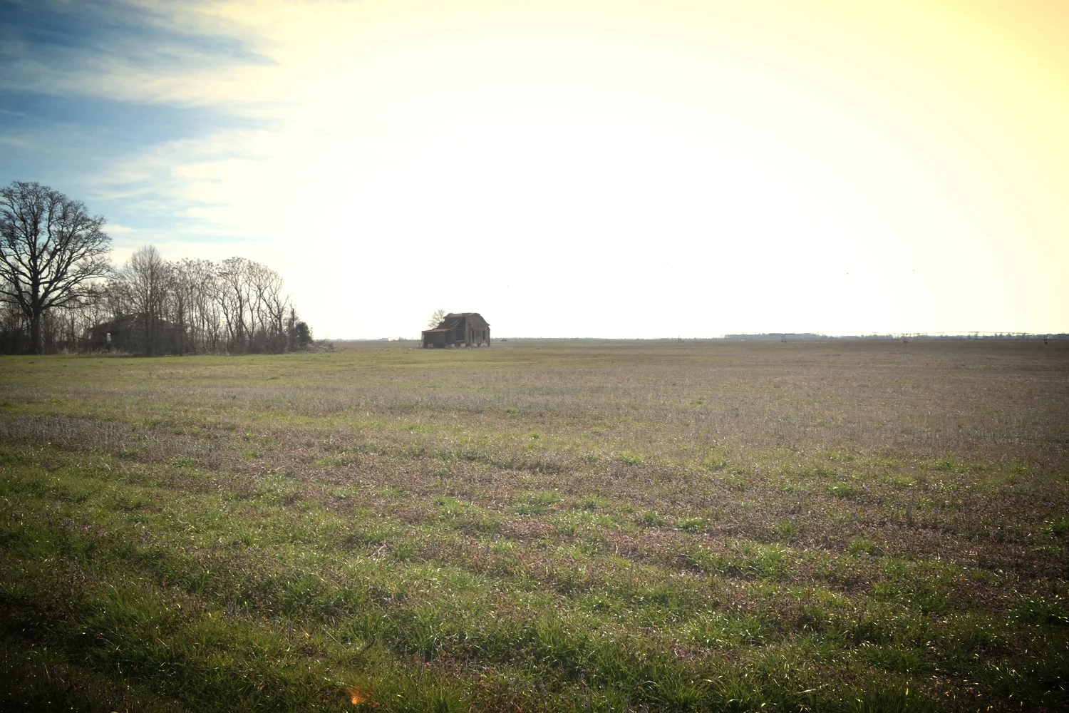 DSC_0015.jpg