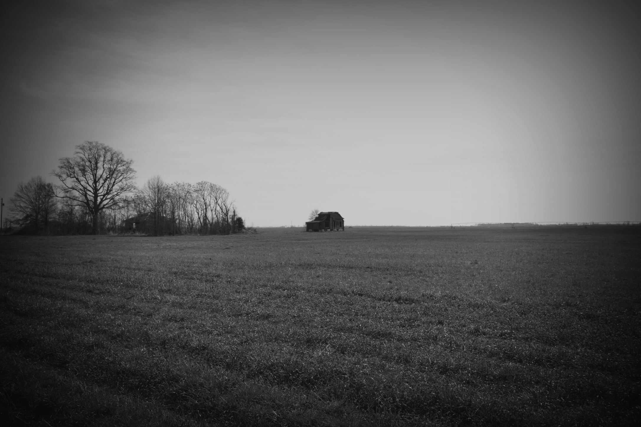 The Mississippi Delta, Summer 2015