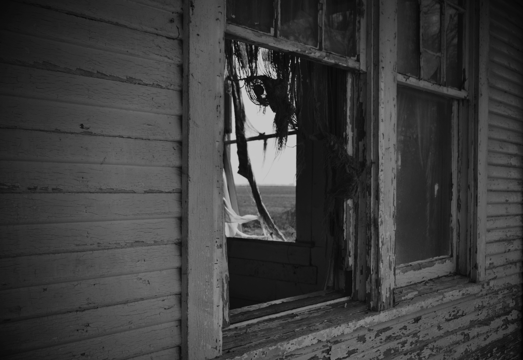 The Mississippi Delta, Summer 2015