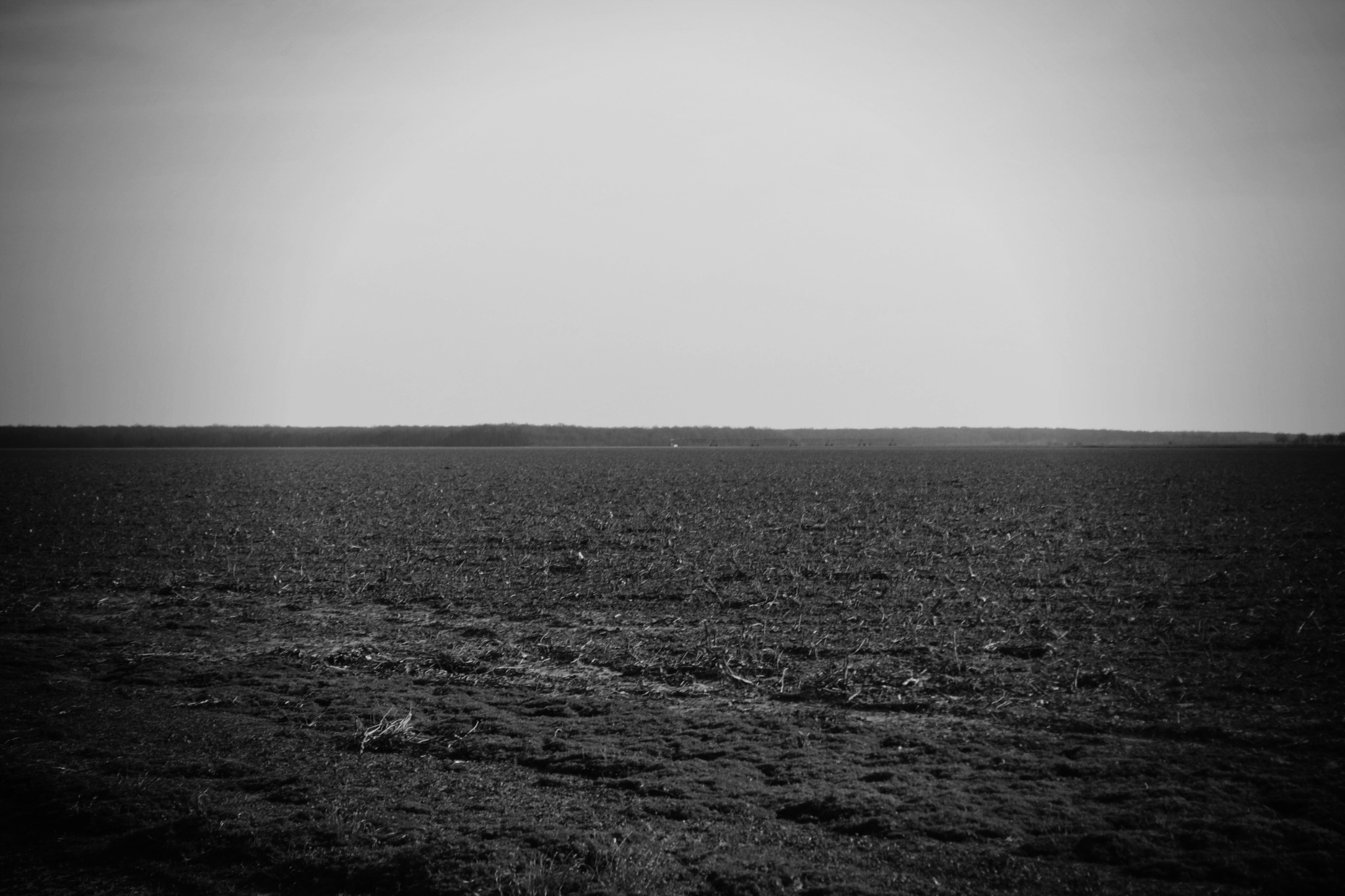The Mississippi Delta, Summer 2015