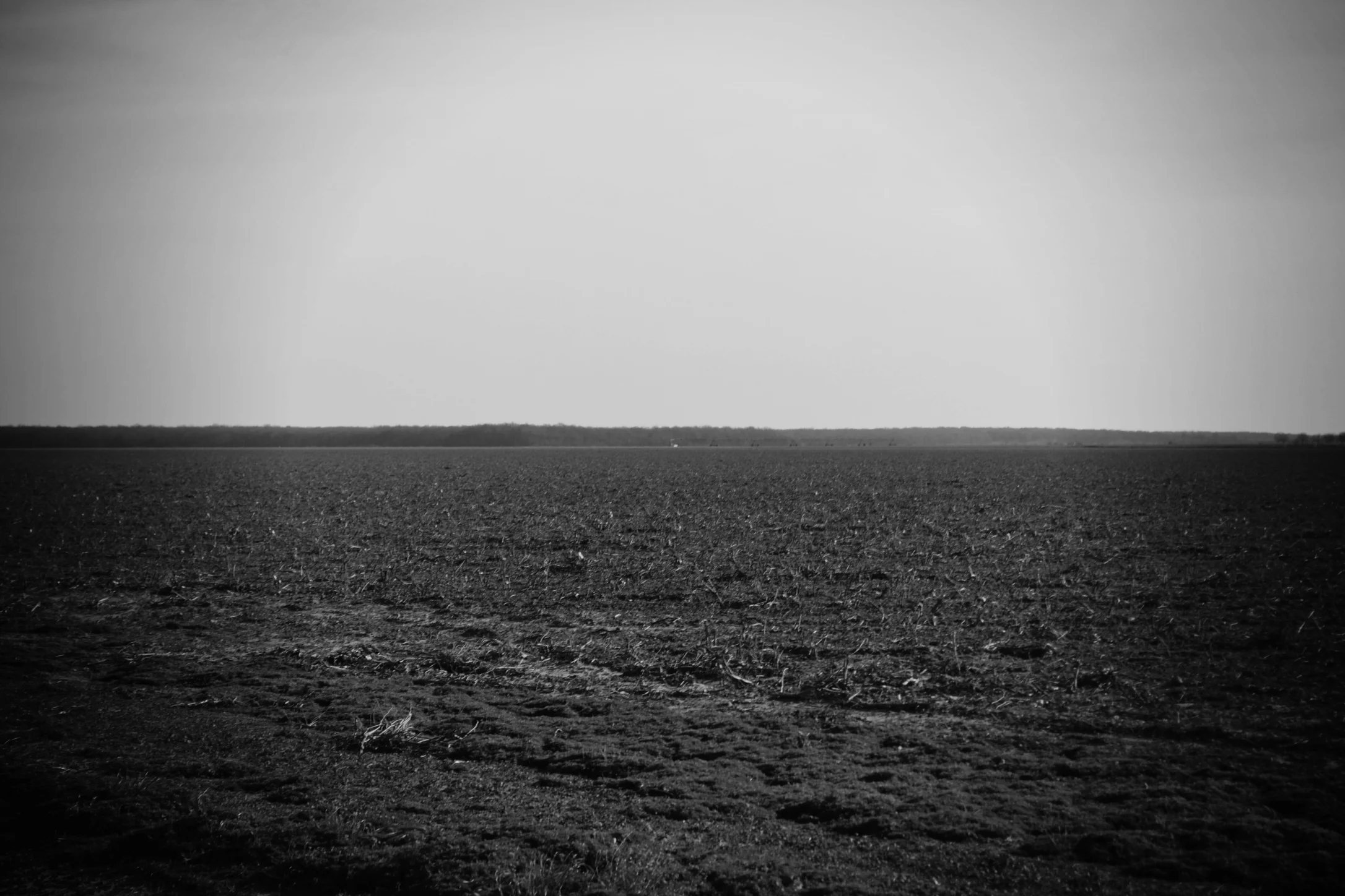 field2.jpg