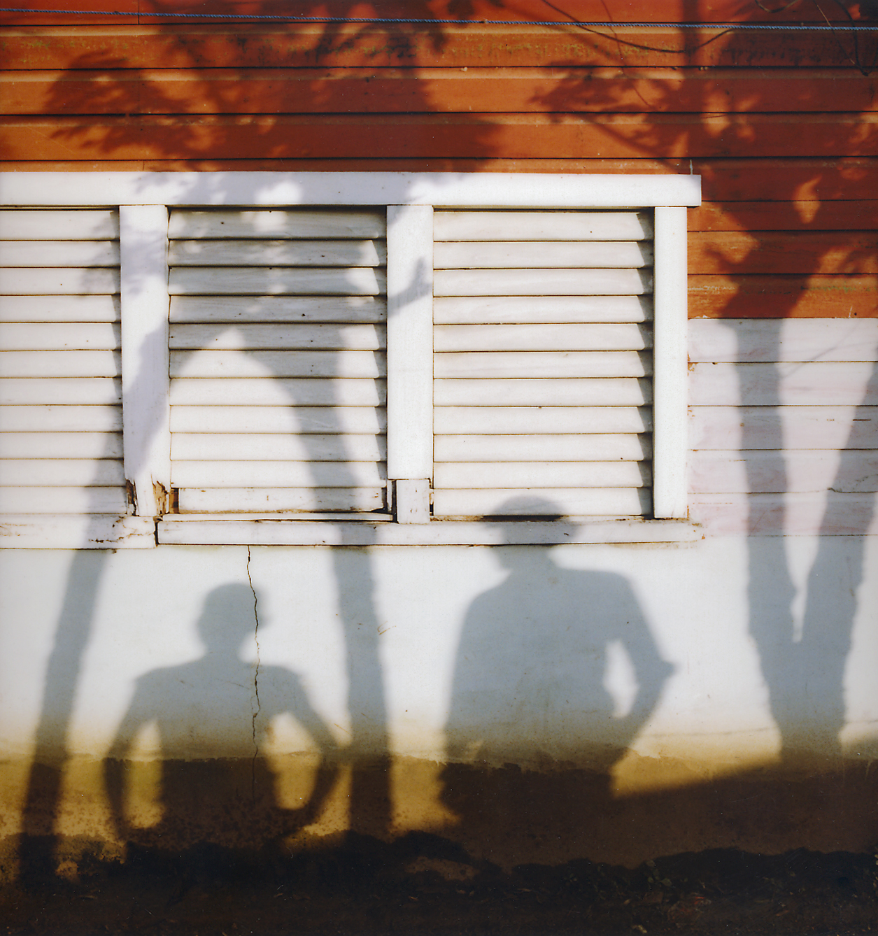 Shadows, Dominican Republic 1990