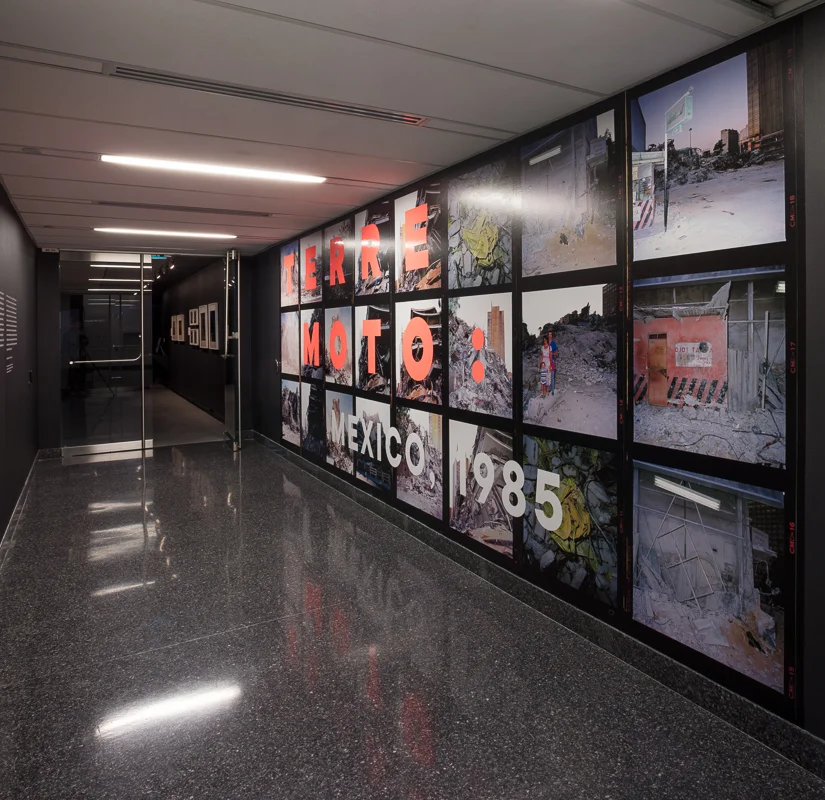 Terre Moto: Mexico, 1985