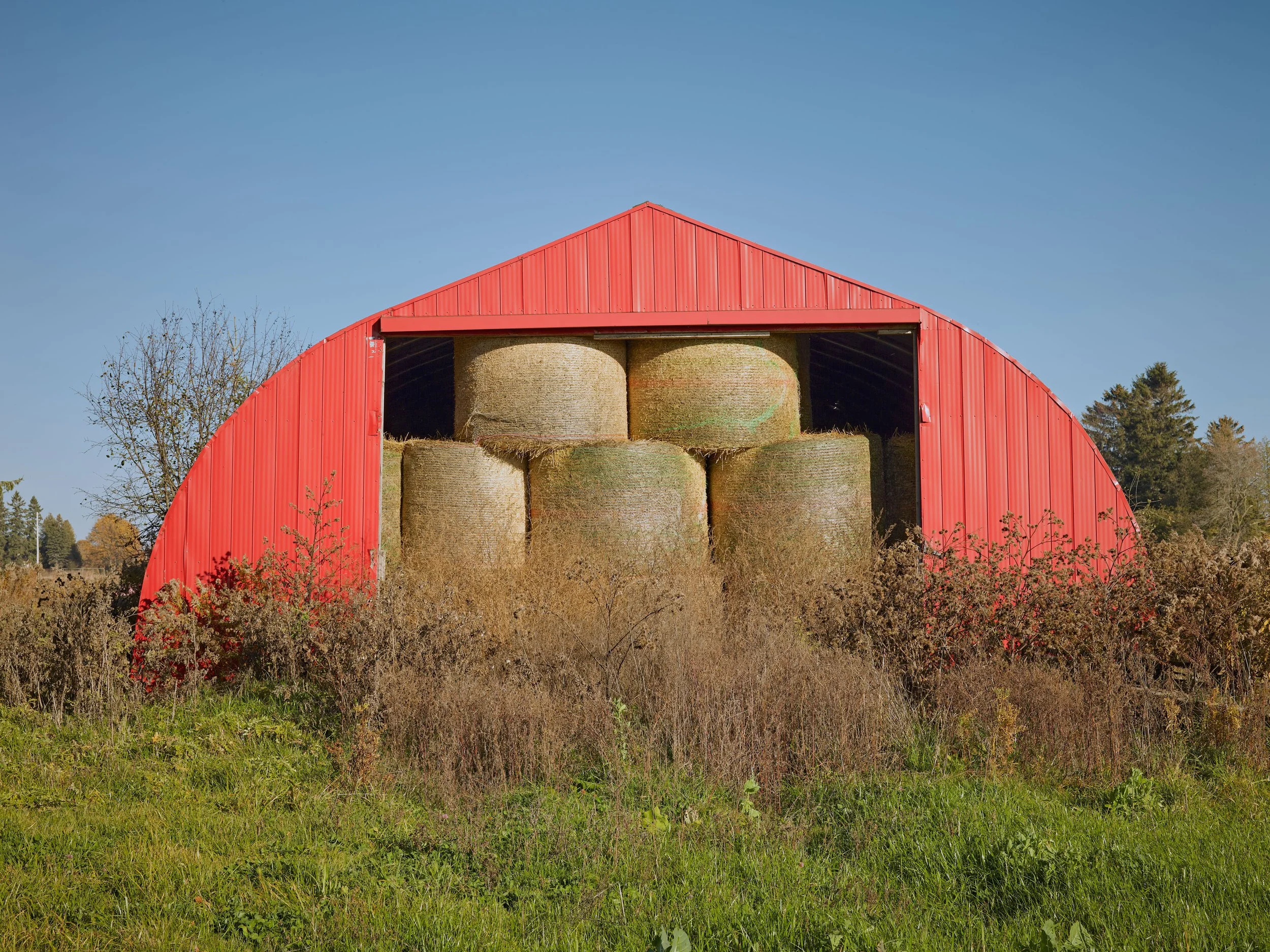 Farms_Barns_133.jpg