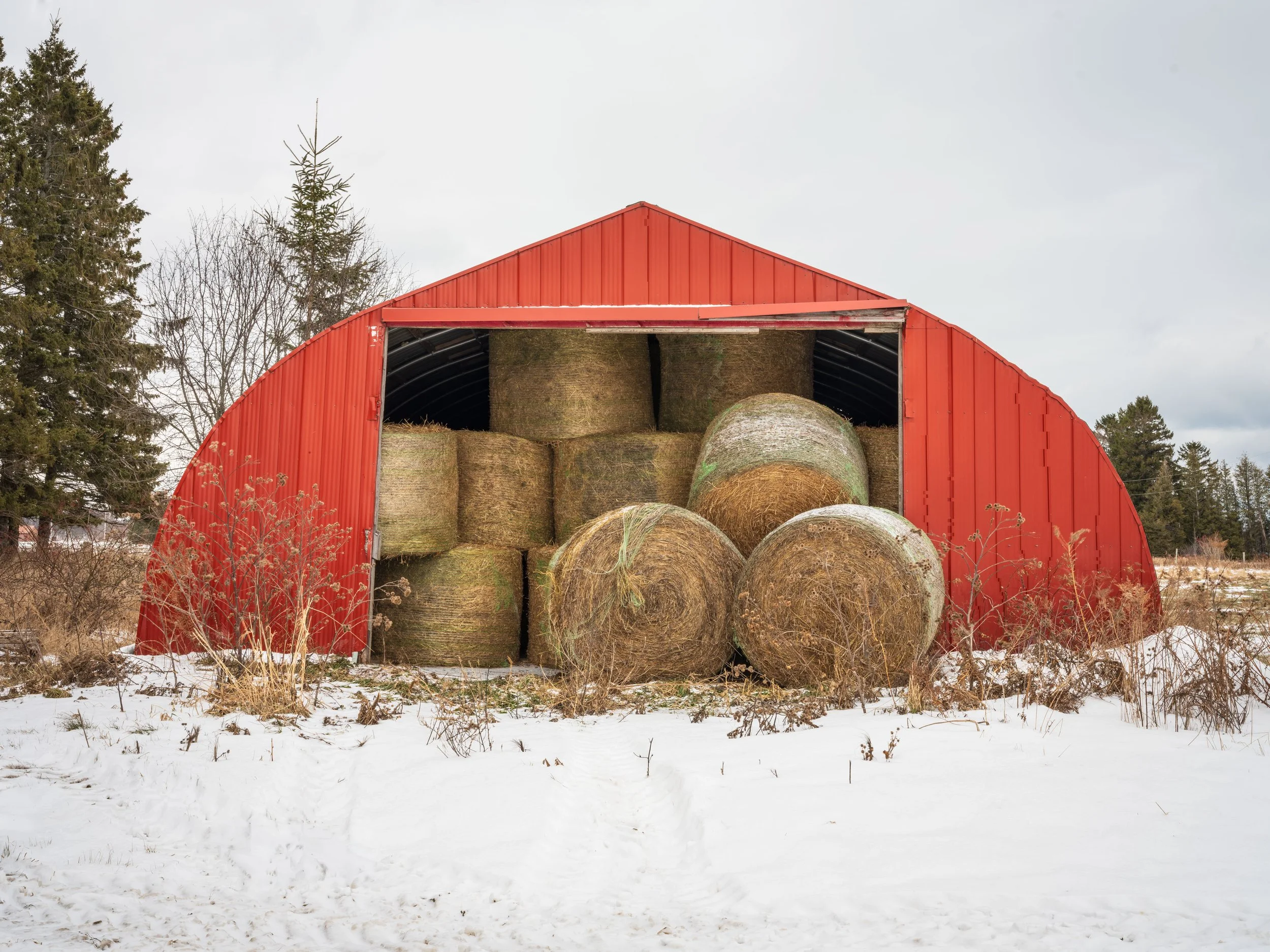 Farms_Barns_365.jpg