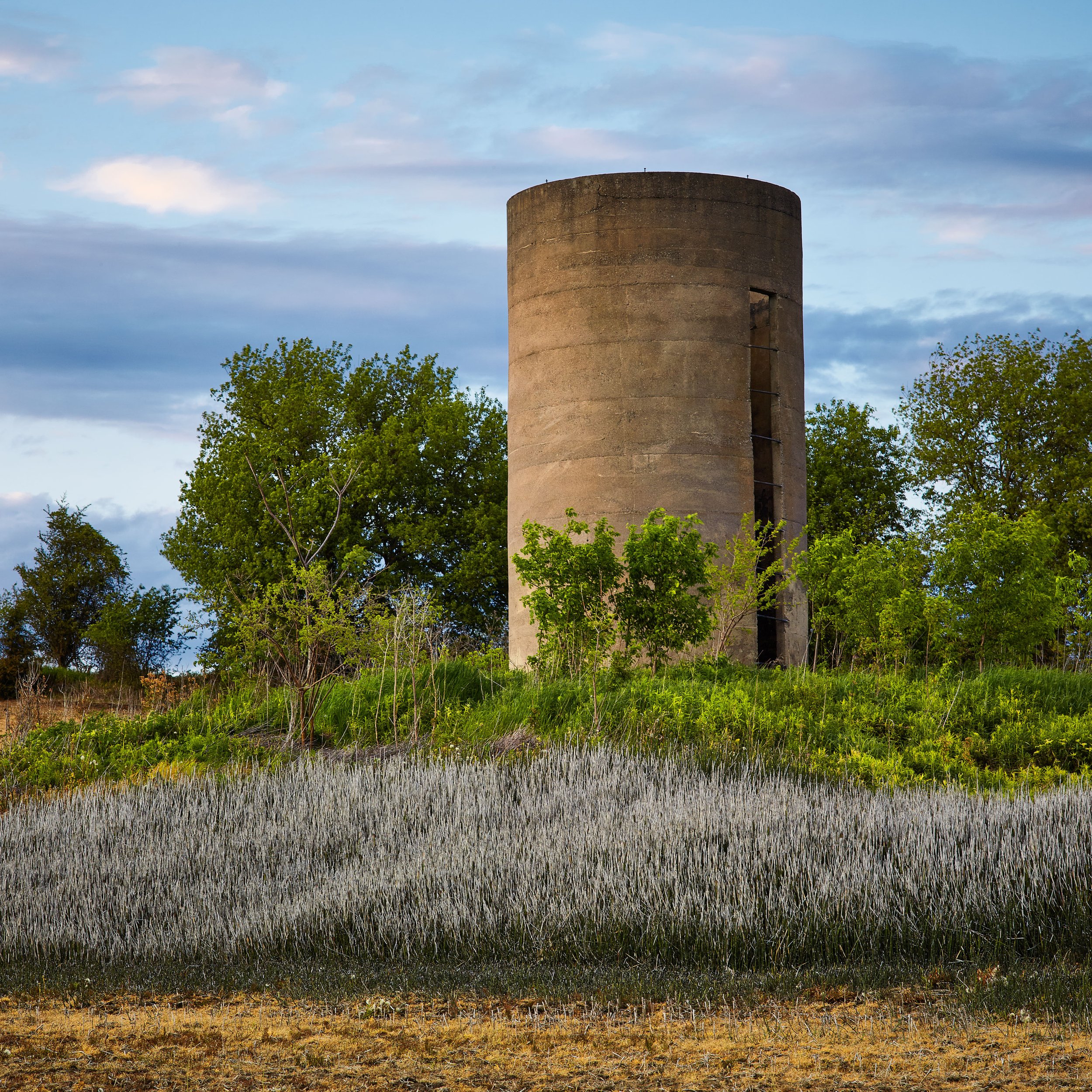 Farms_Barns_233.jpg