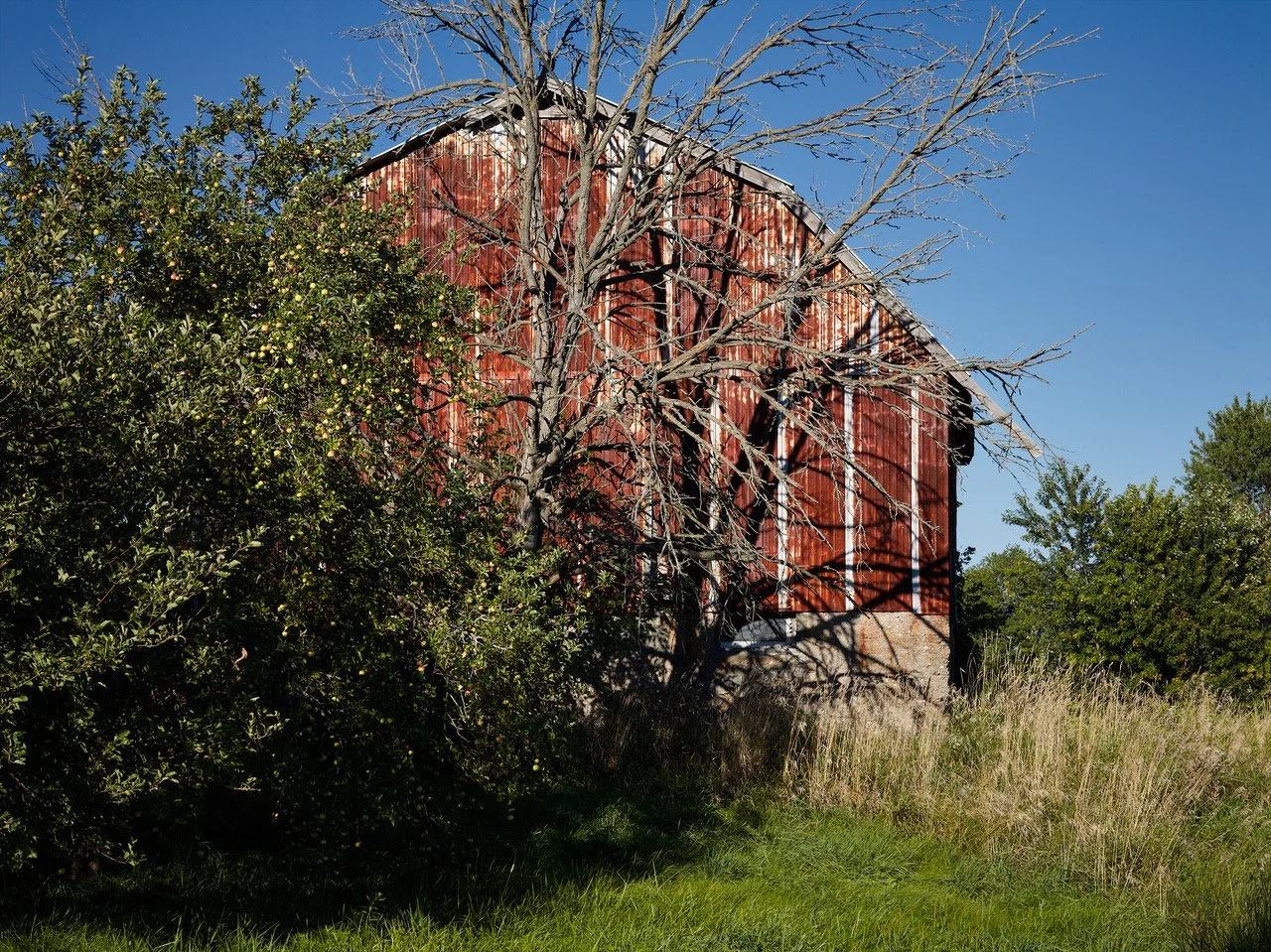 Farms_Barns_1073.jpeg