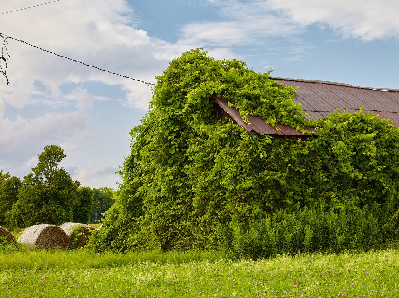Farms_Barns_1010.jpeg