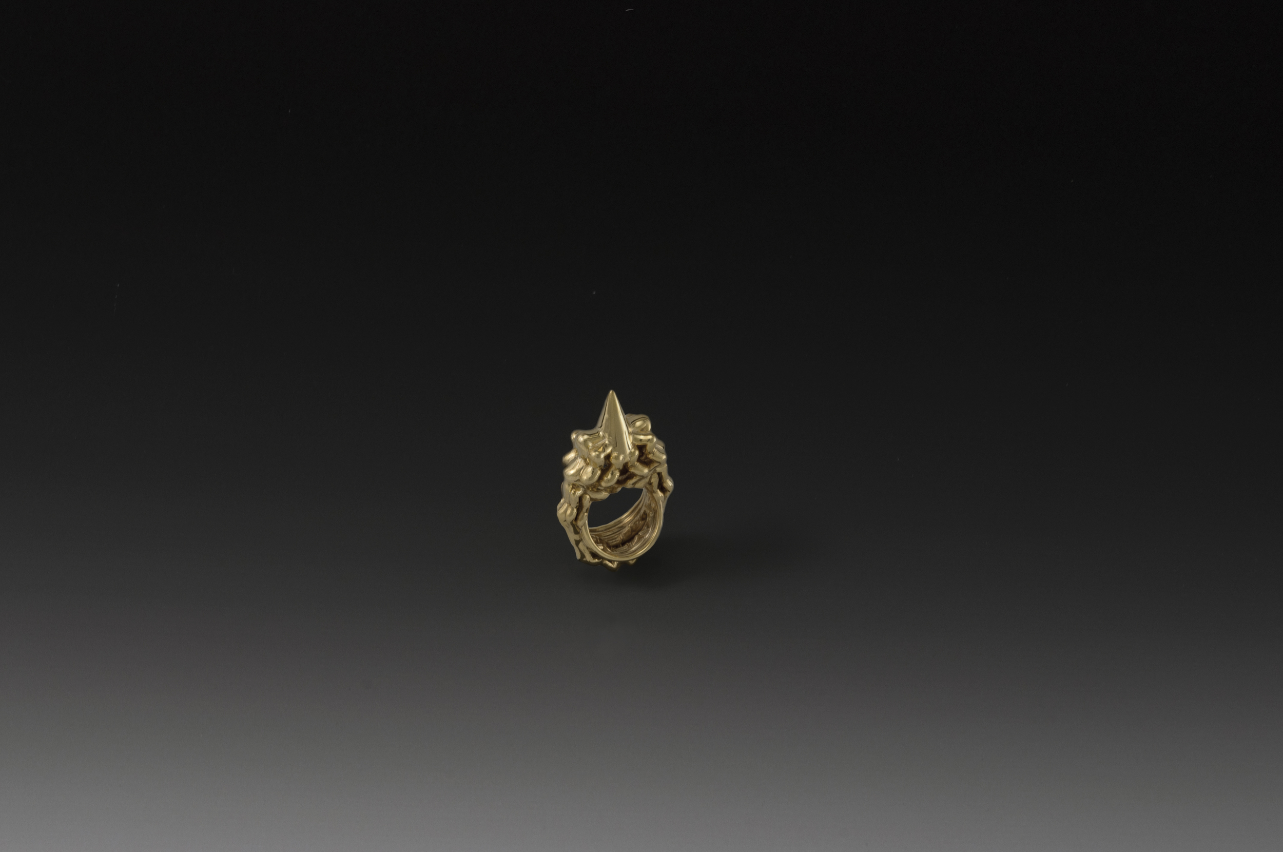 cad_ring_done.jpg