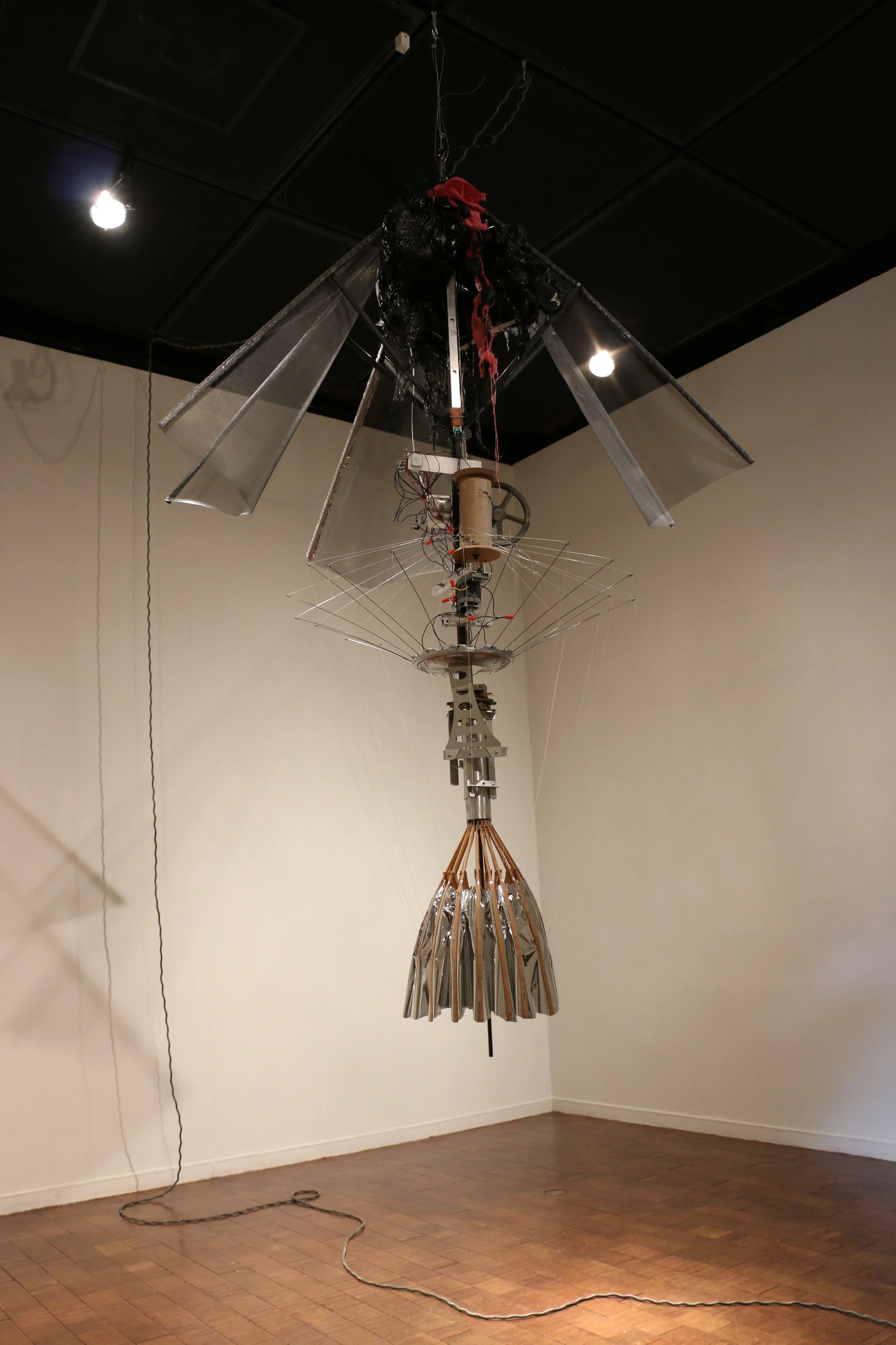 Upson_Jellyfish Radar.jpg