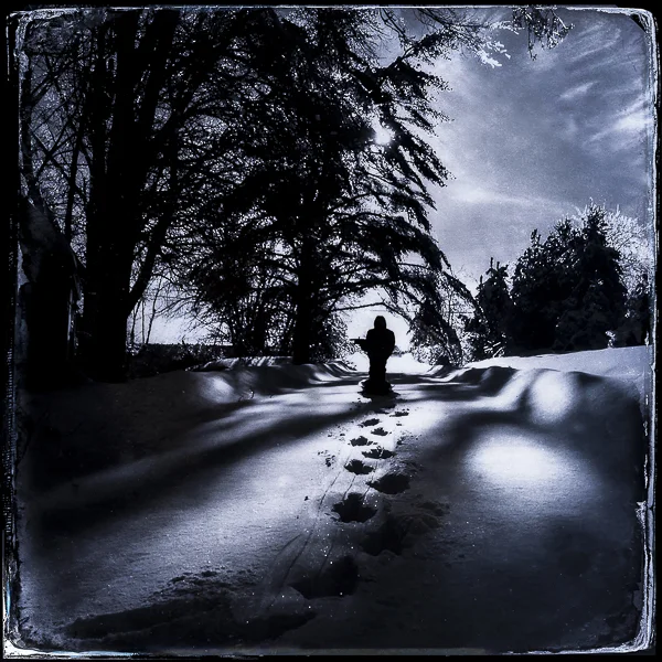 TIM_This is A Journey-Edit.jpg