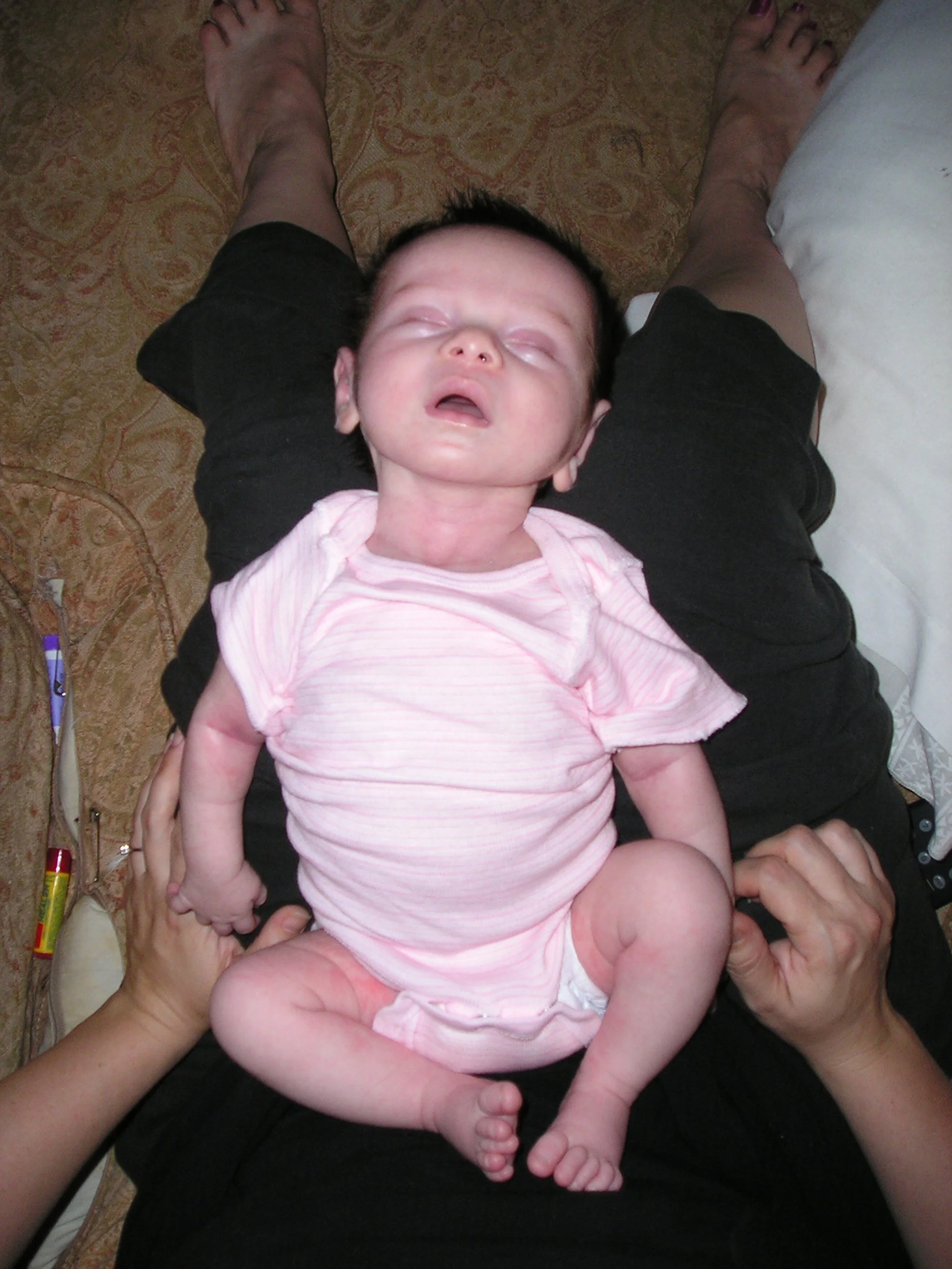 02-P2010013.JPG