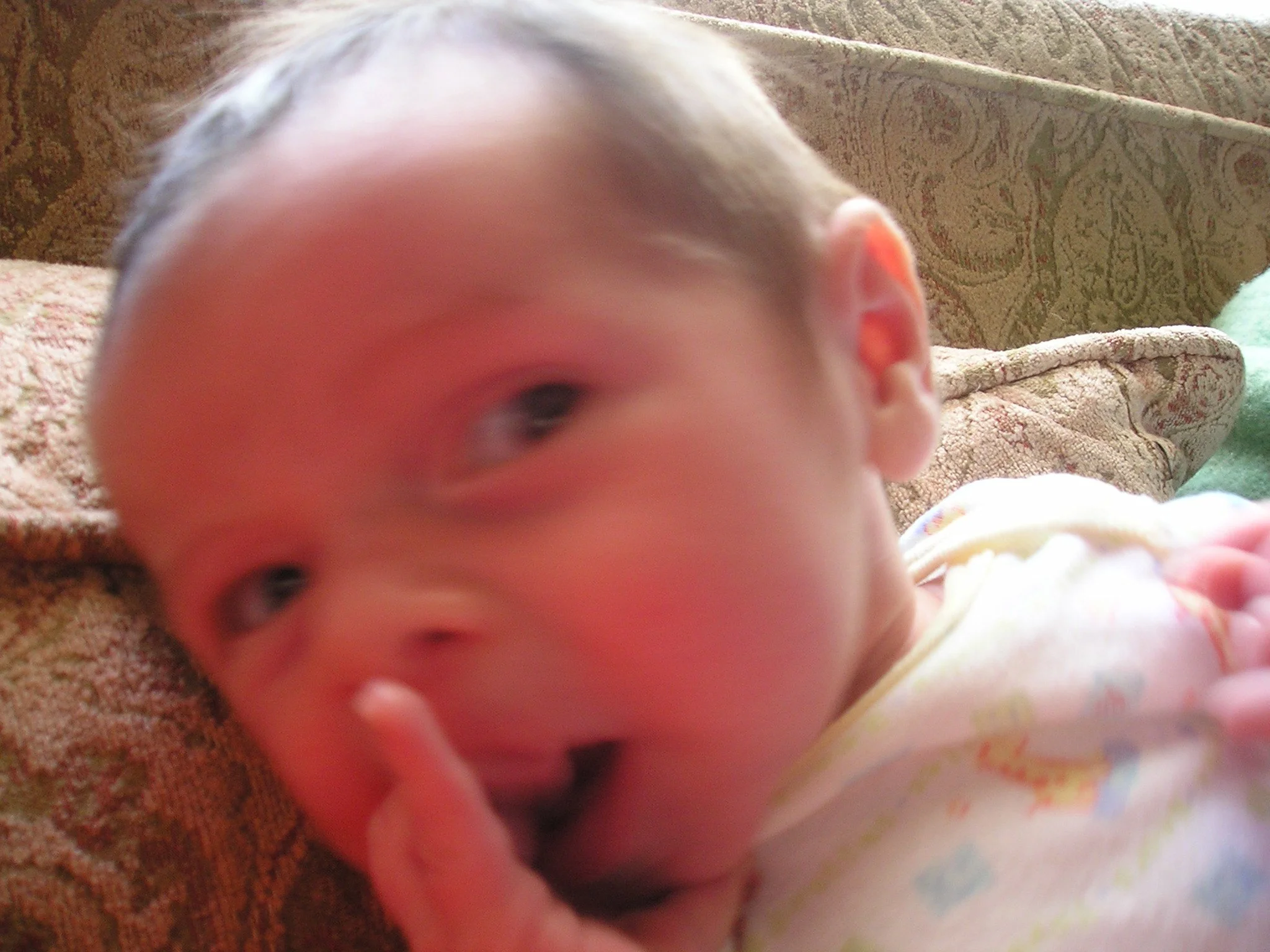 02-P2010018.JPG