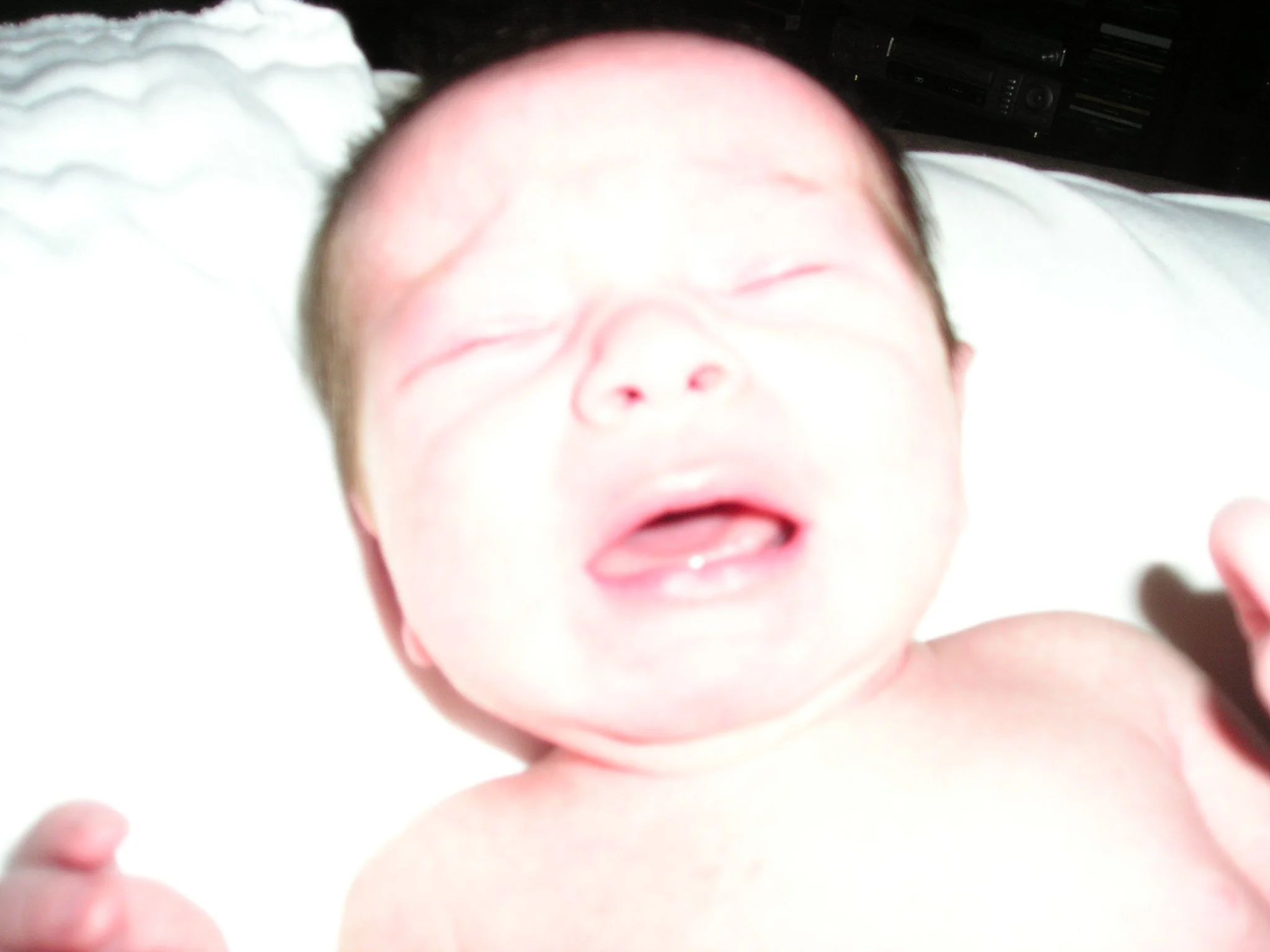 E1010023.JPG