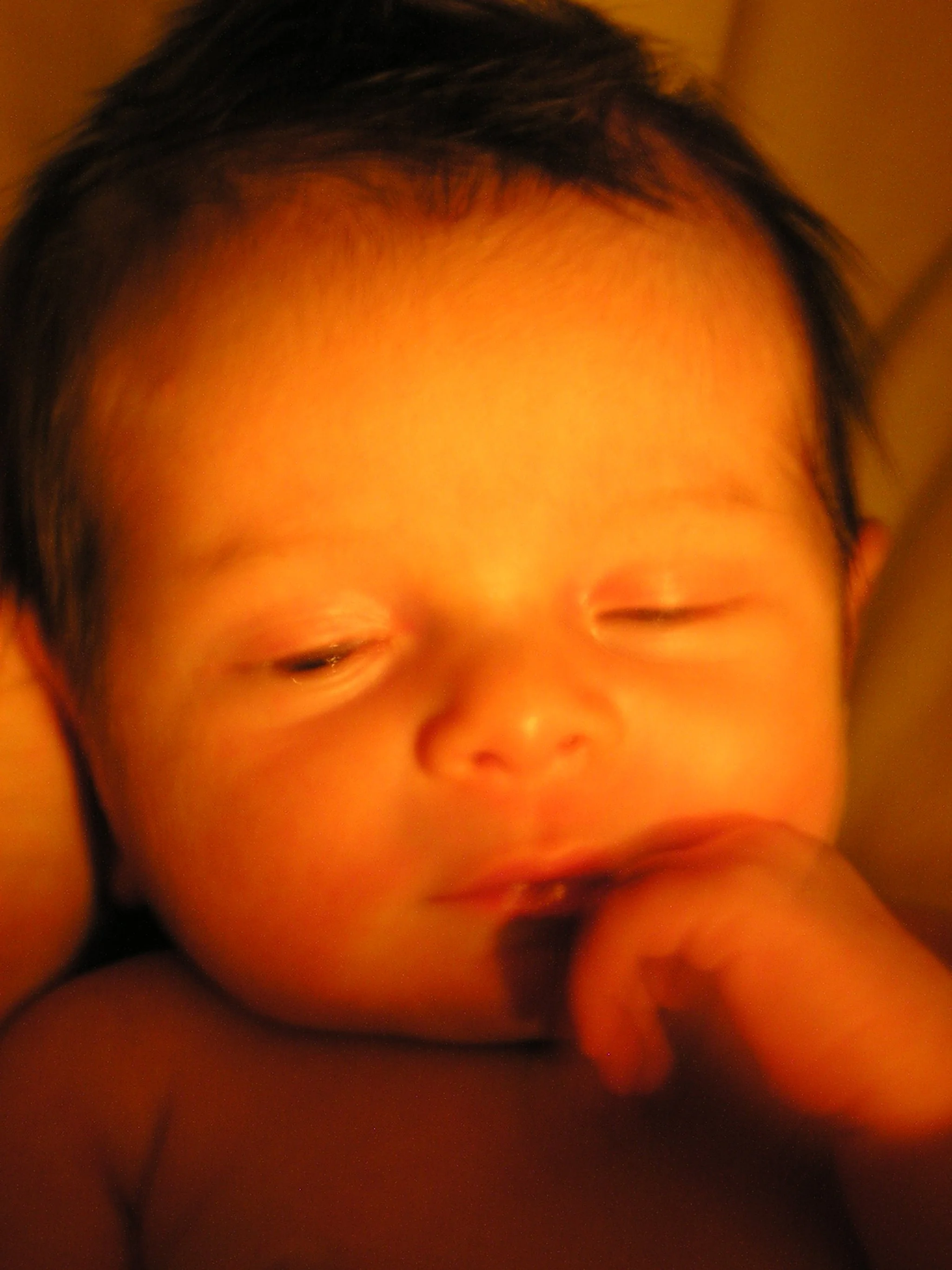 E1010028.JPG