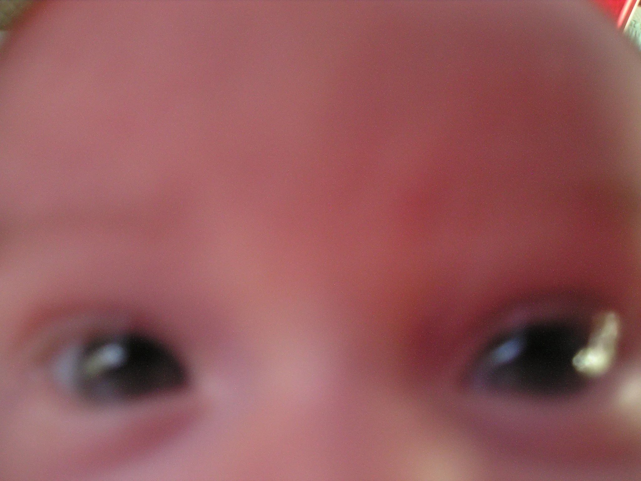 E1010032.JPG