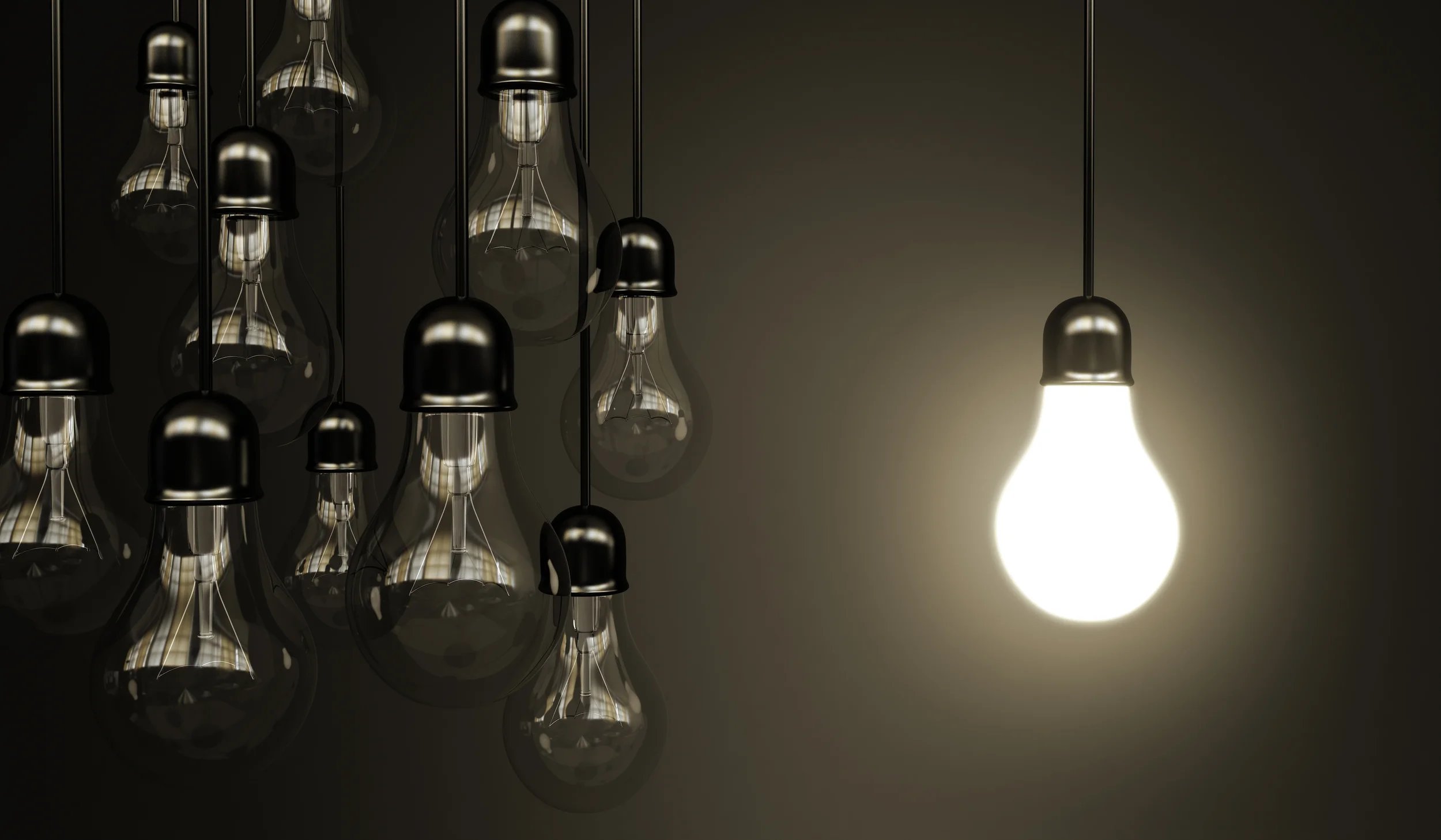 One bulb black white.jpg