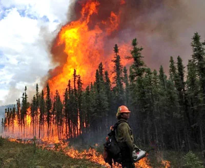 WIldfire.jpg