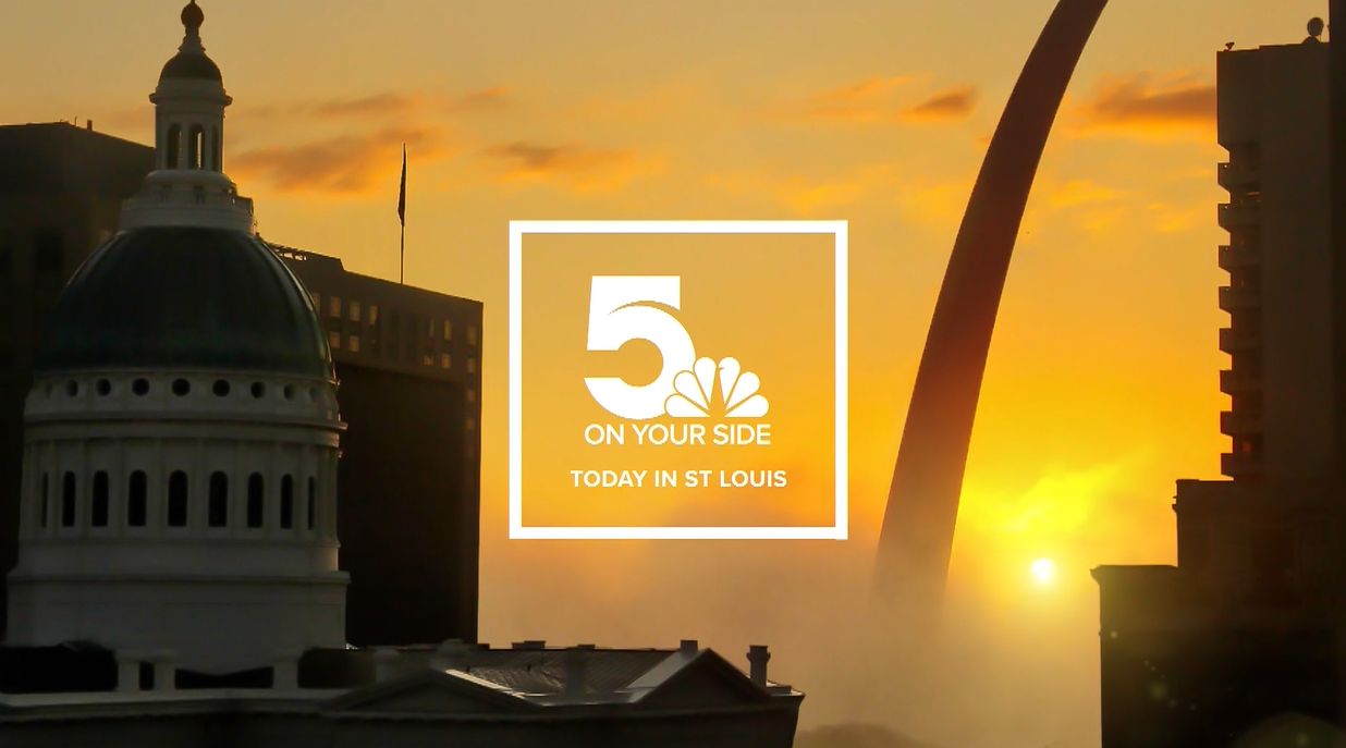 "Anti-Vaccine States" A Close Look at Missouri