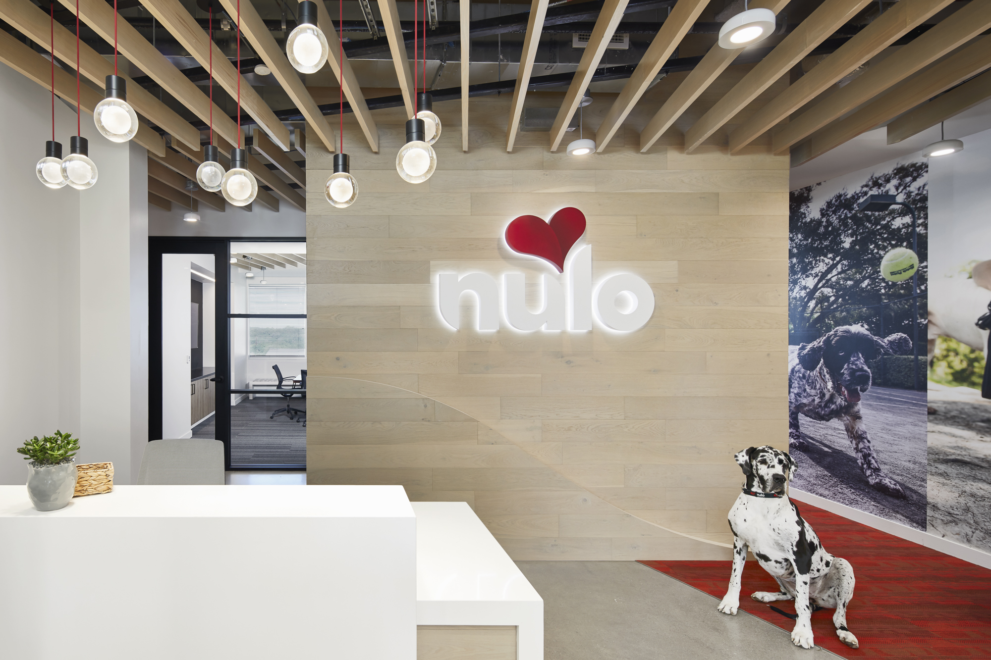 Nulo Corporate Office 