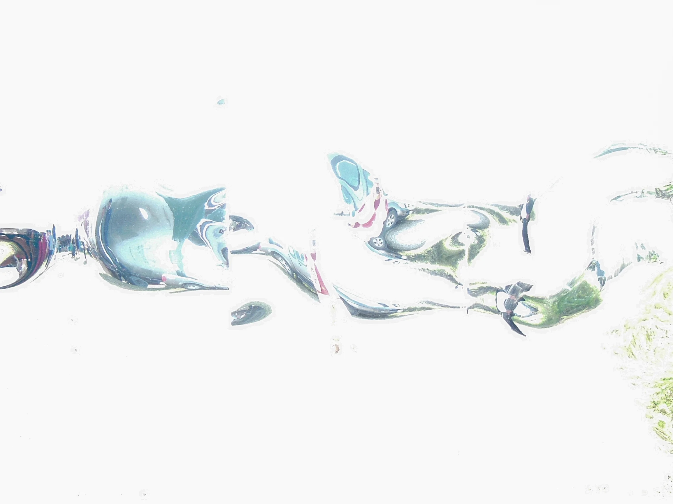 DSCN8669.jpg