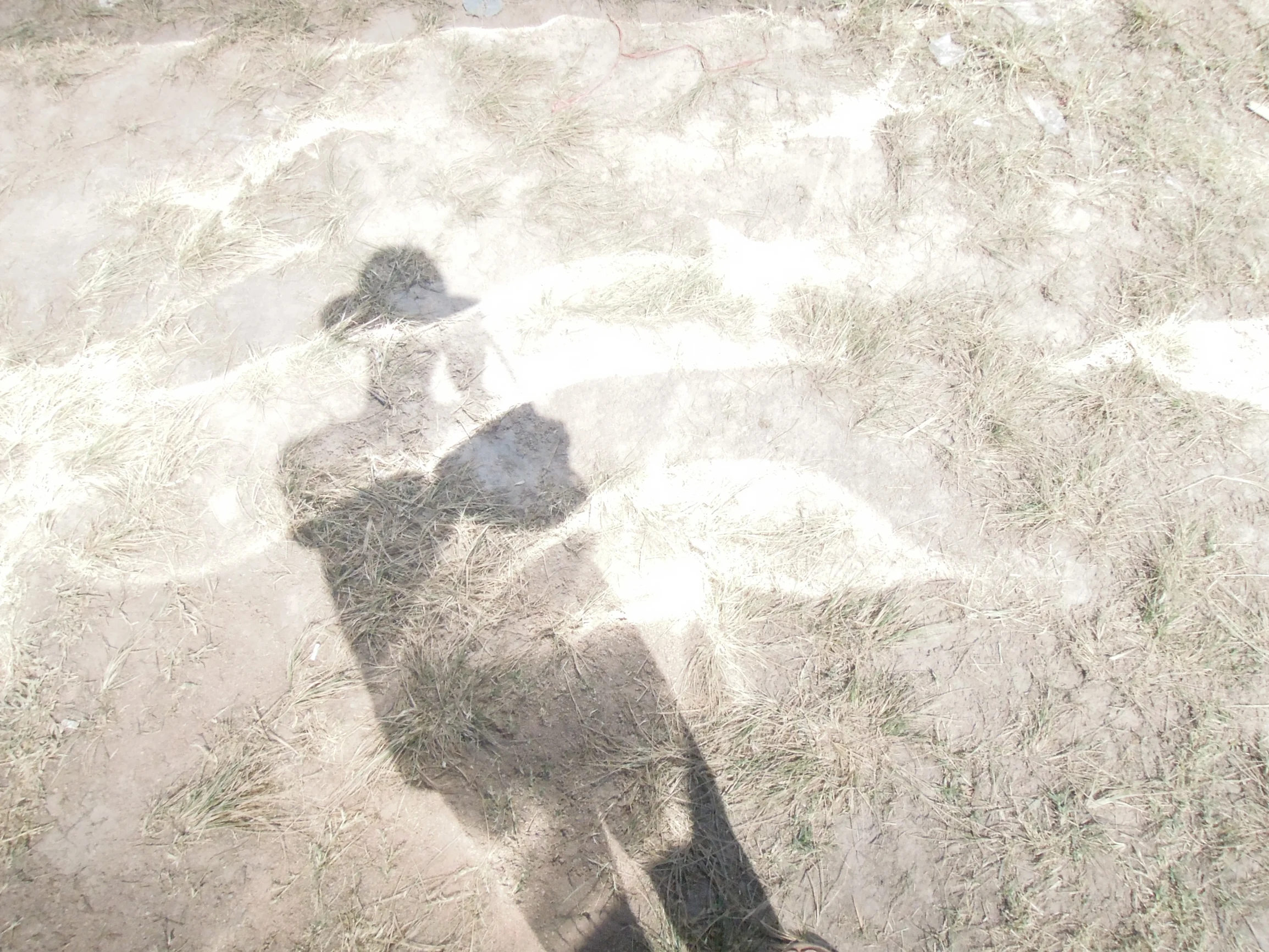 DSCN8808.jpg