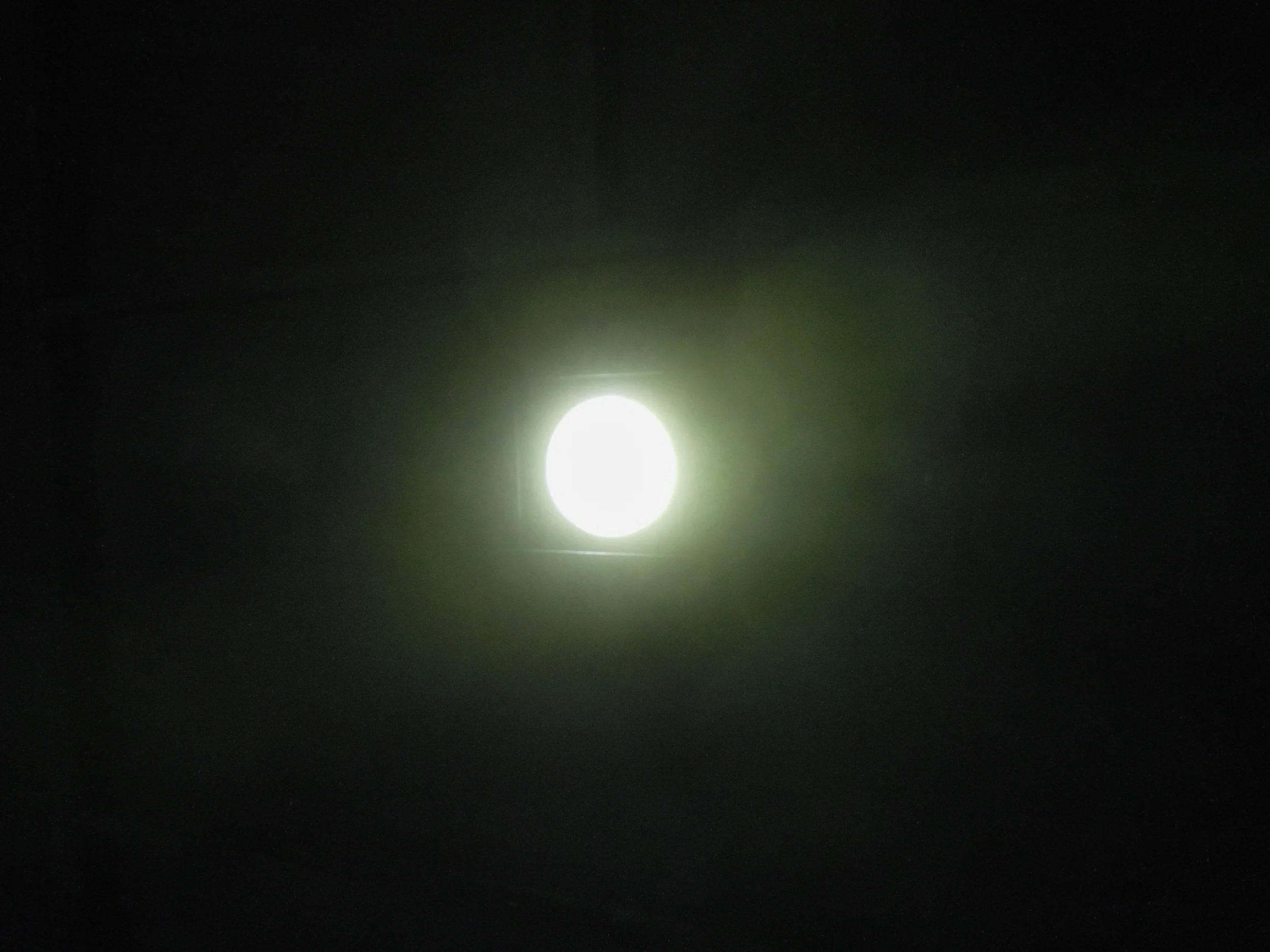 DSCN9003.jpg