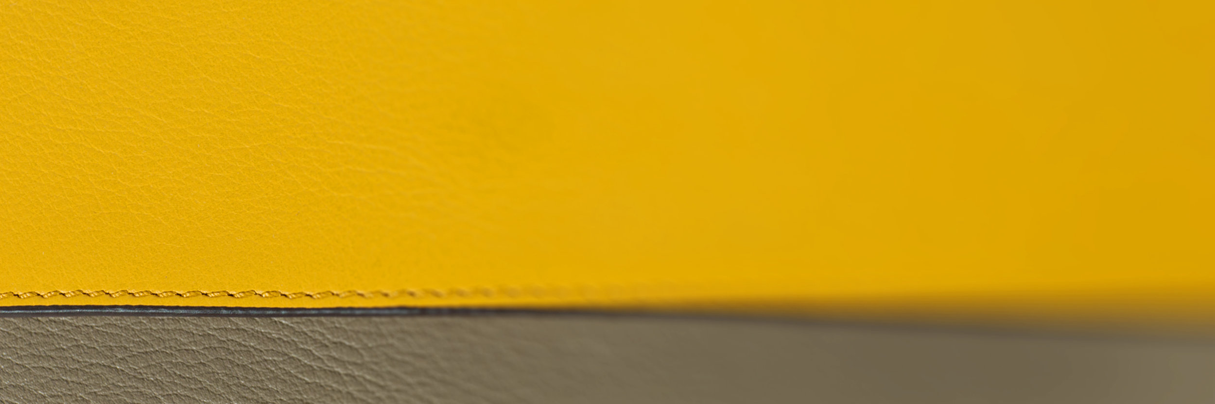 yellowLine233.jpg