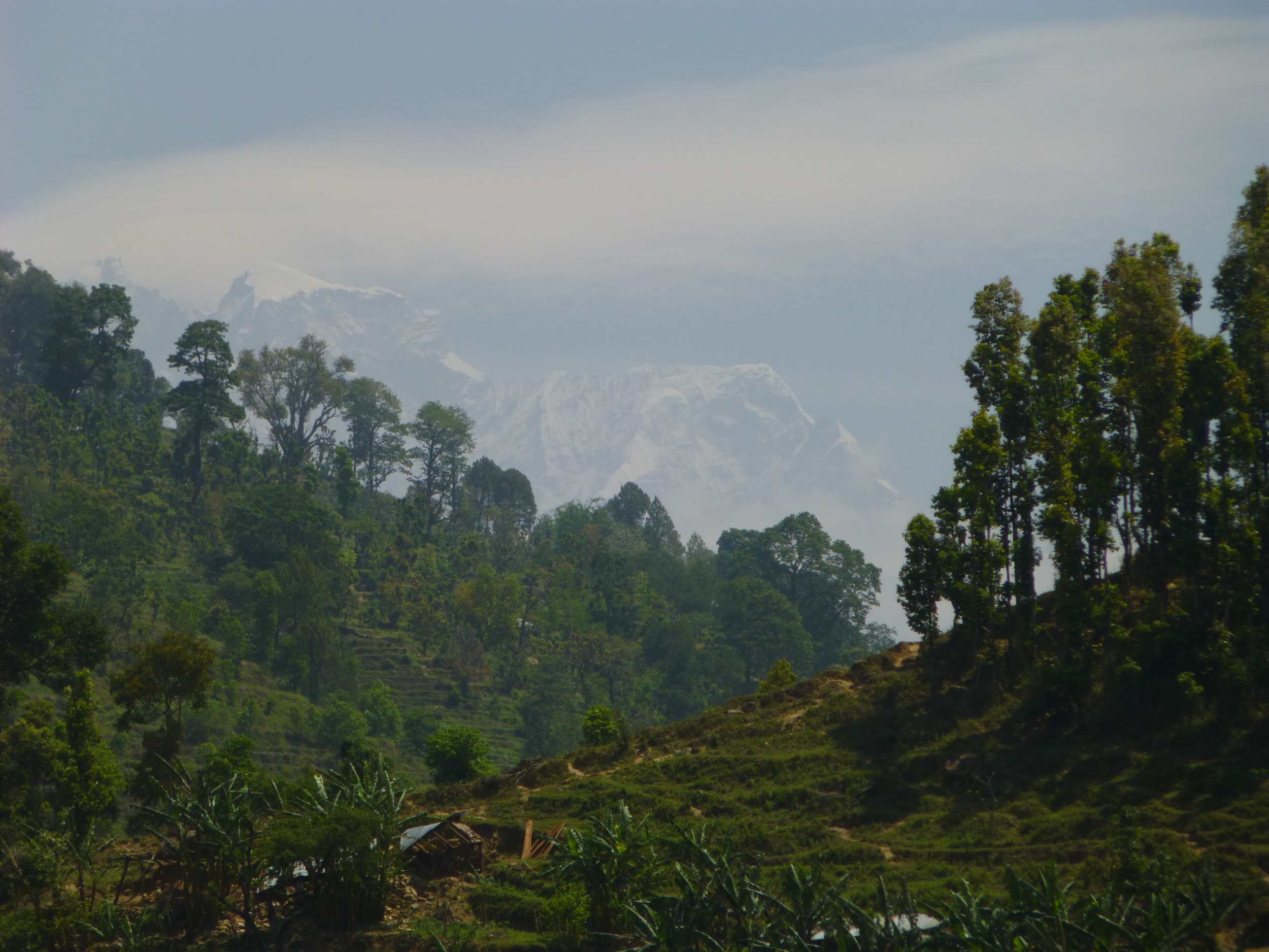 P1000936.JPG
