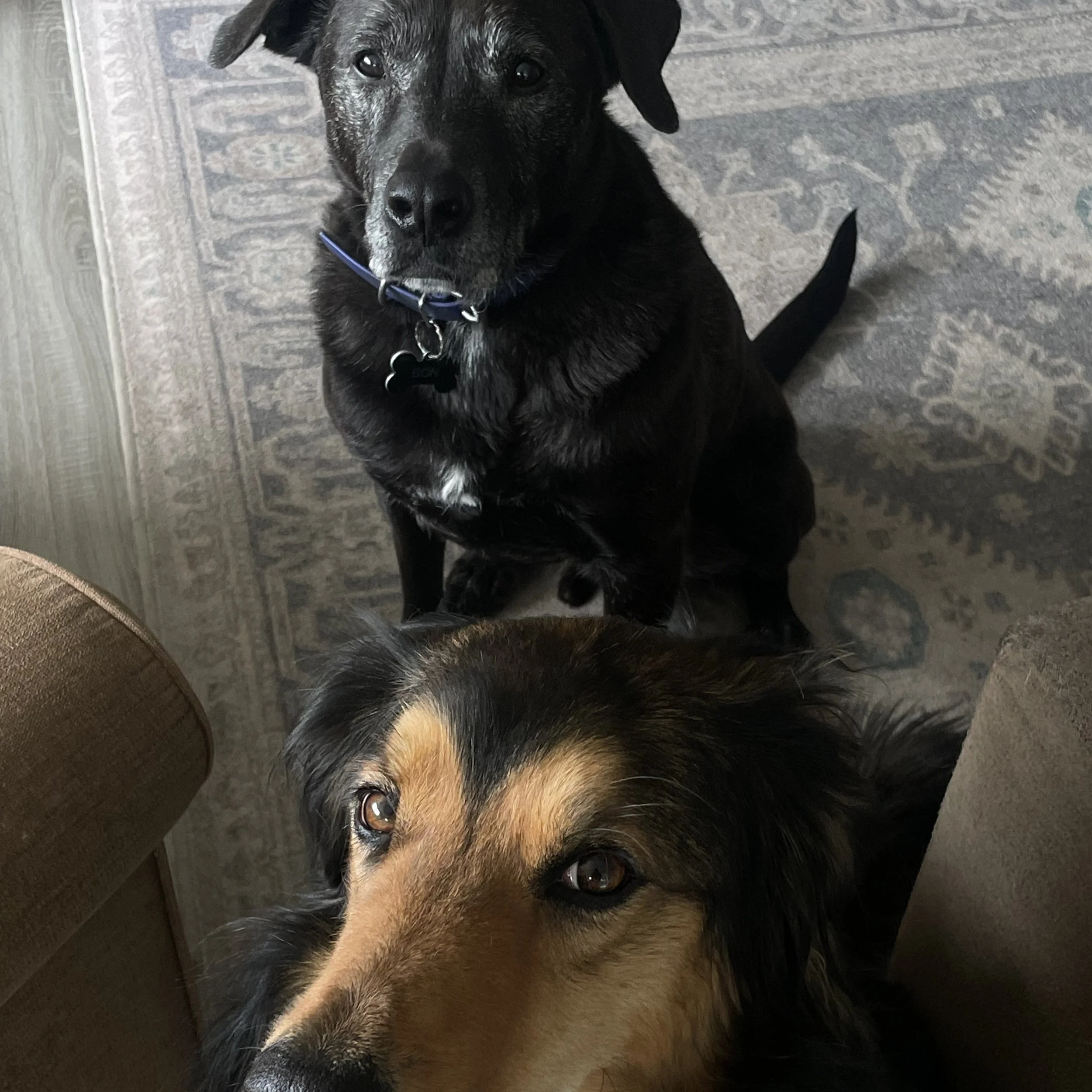 Jeff and Bon Voghell.jpeg